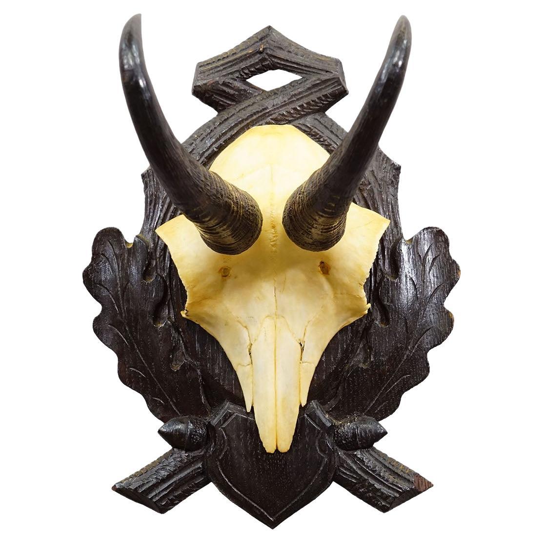 Antique Chamois Trophy on Carved Plaque, Germany ca. 1930s
