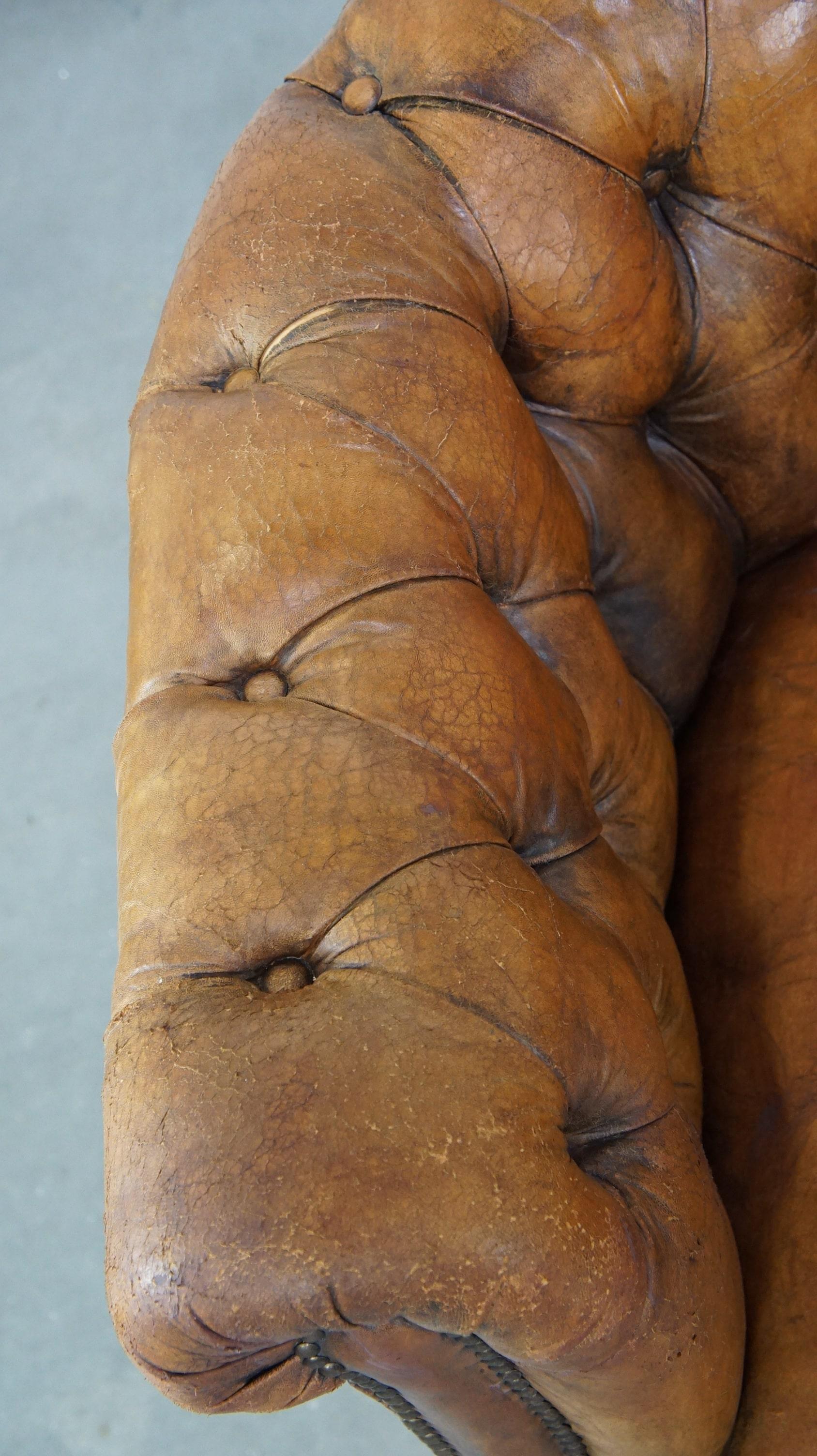 Leather Antique, characteristic sheepskin chesterfield club chair on wheels For Sale
