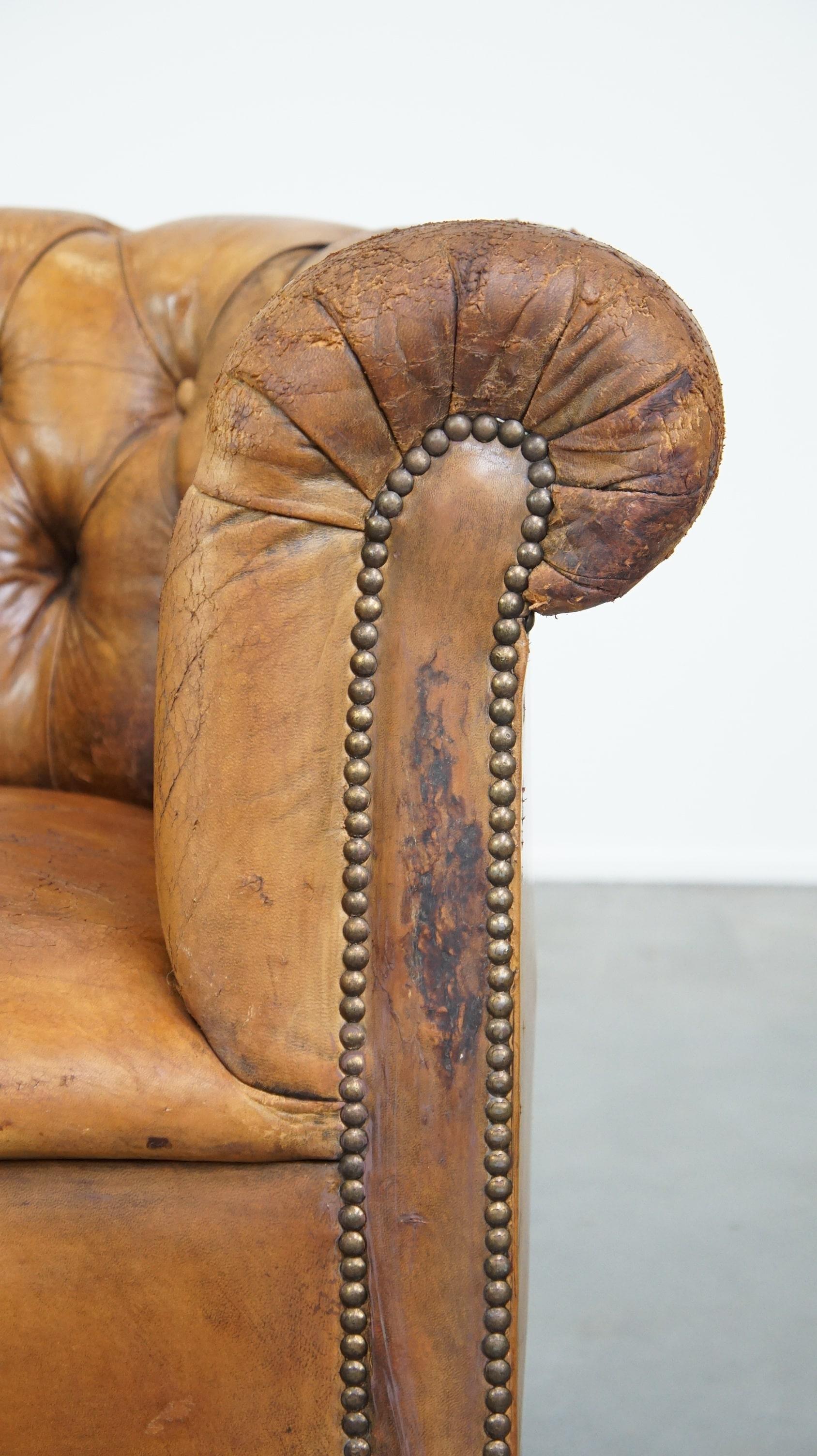 Antique, characteristic sheepskin chesterfield club chair on wheels For Sale 2
