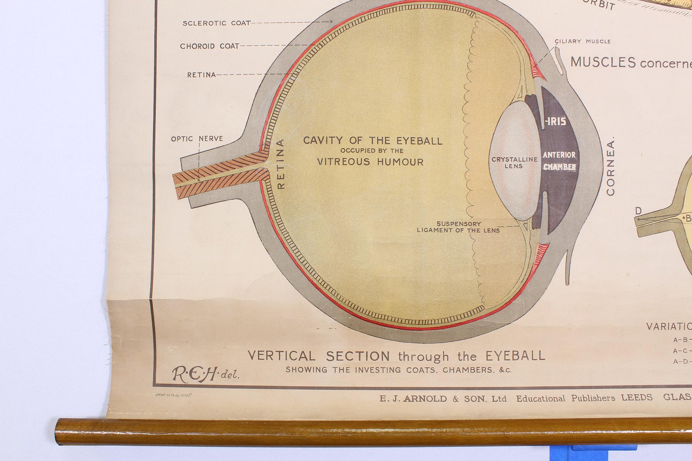 Antique Chart 