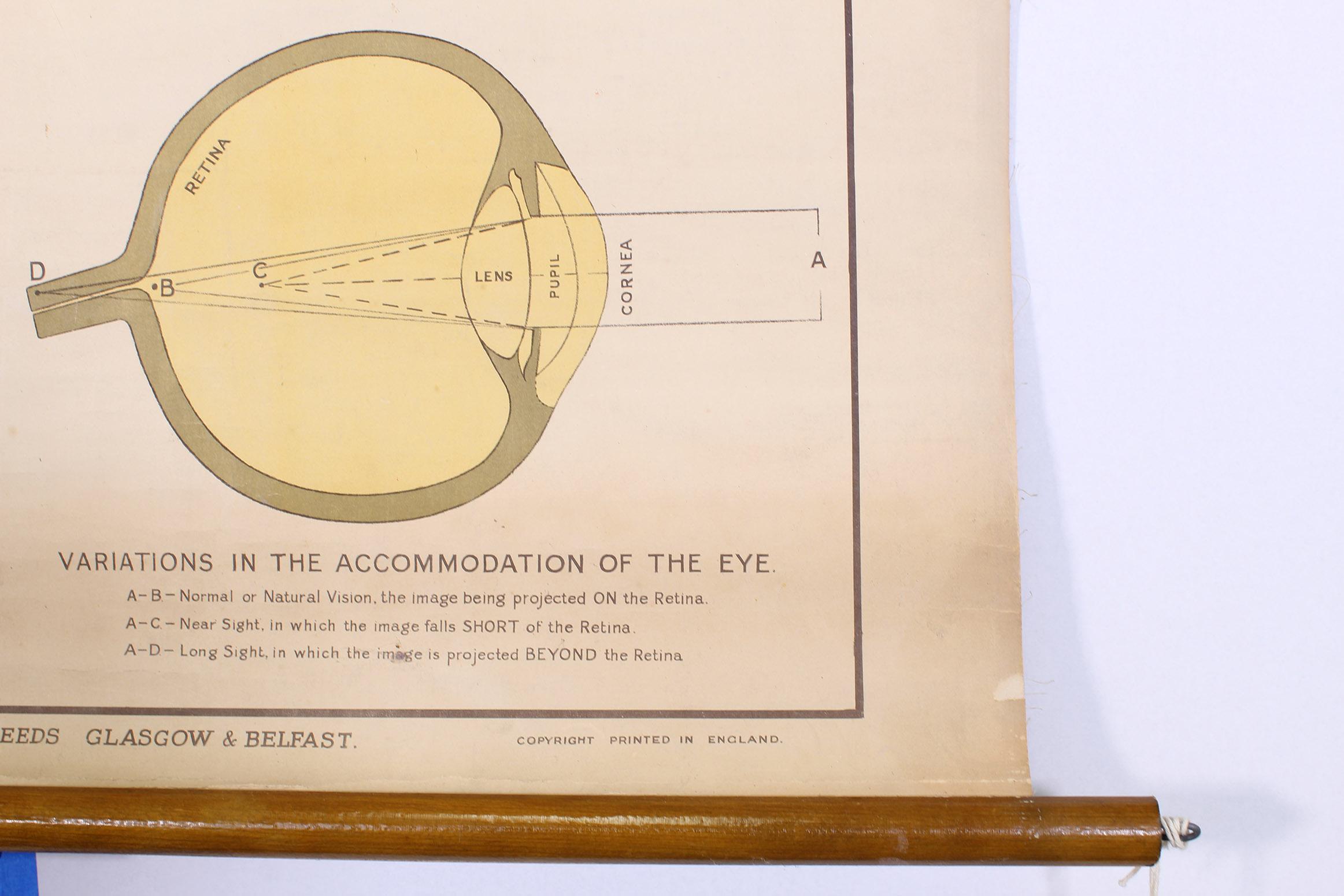 20th Century Antique Chart 