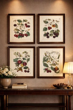 Antique Cherry Botanical Chromolithographs, Set of Four, Calwer 1854