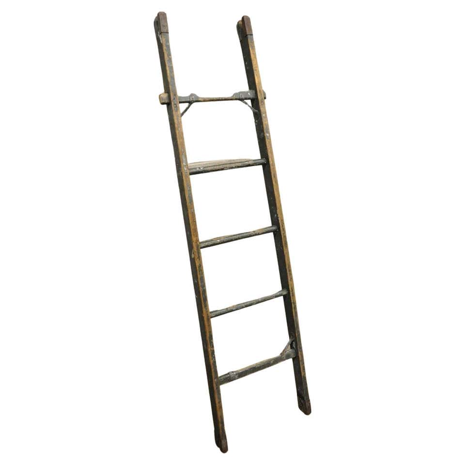 F.E. Myers Bros. Country Store or Library Rustic Ladders with Hardware ...