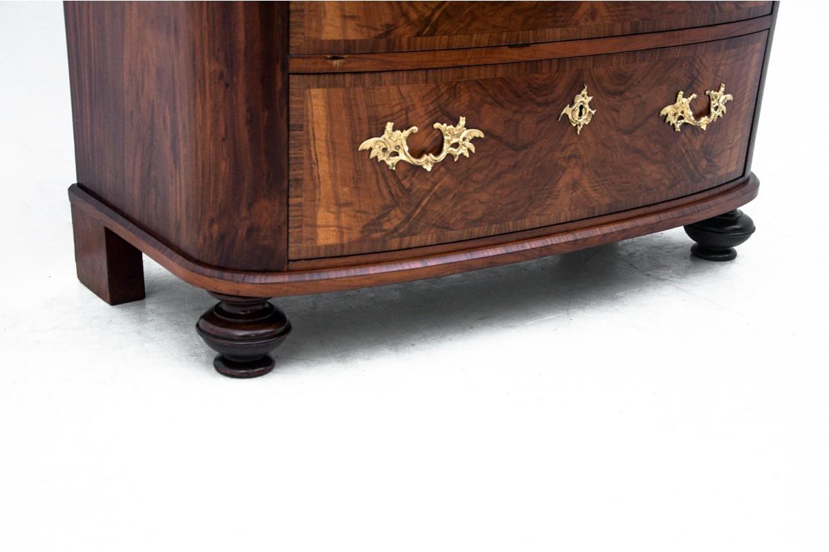 Antique Chest of Drawers, Northern Europe, circa 1860, Renovated 2