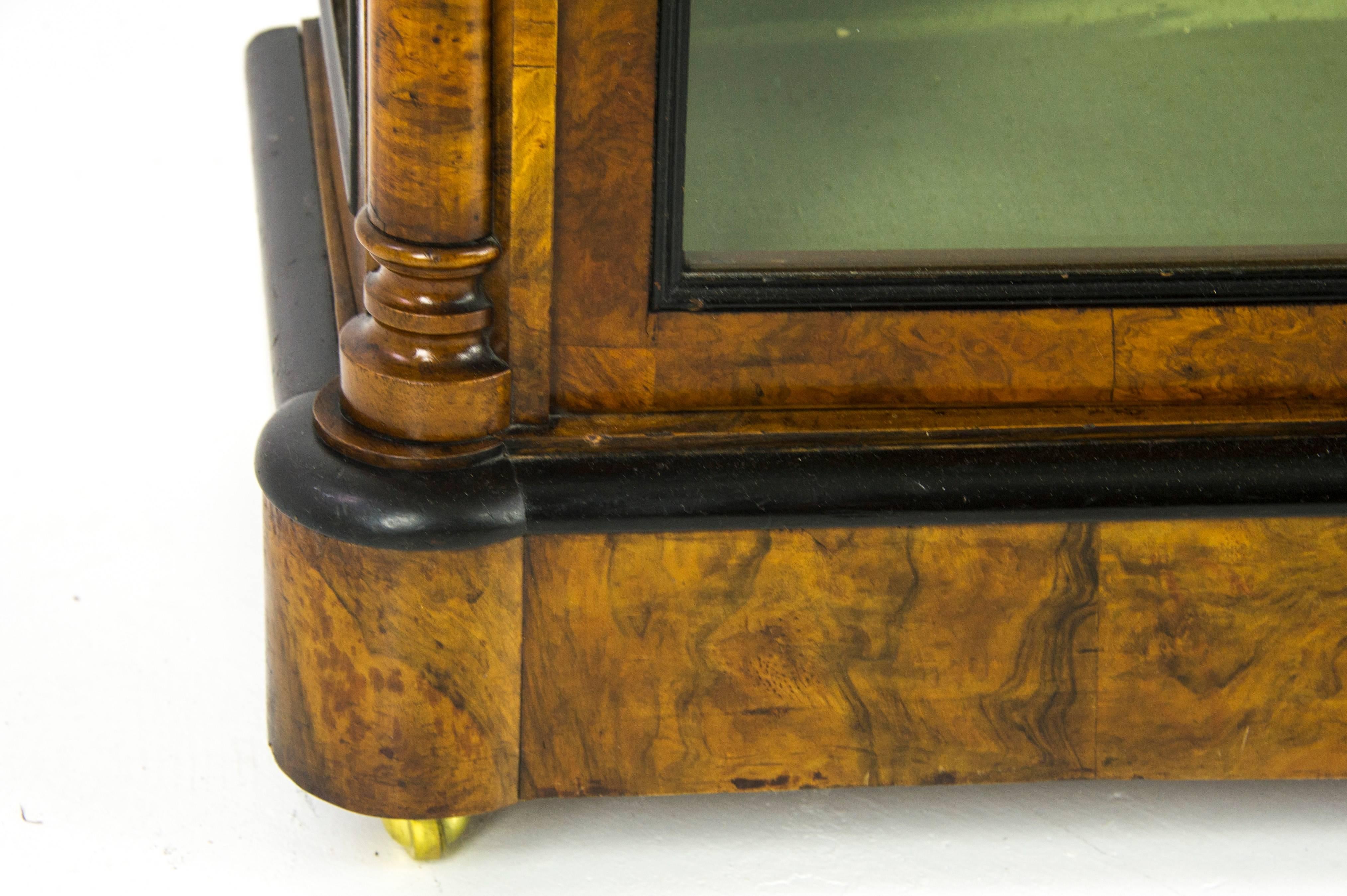 Late 19th Century Antique China Cabinet, Victorian Bookcase, Burr Walnut Cabinet, Scotland