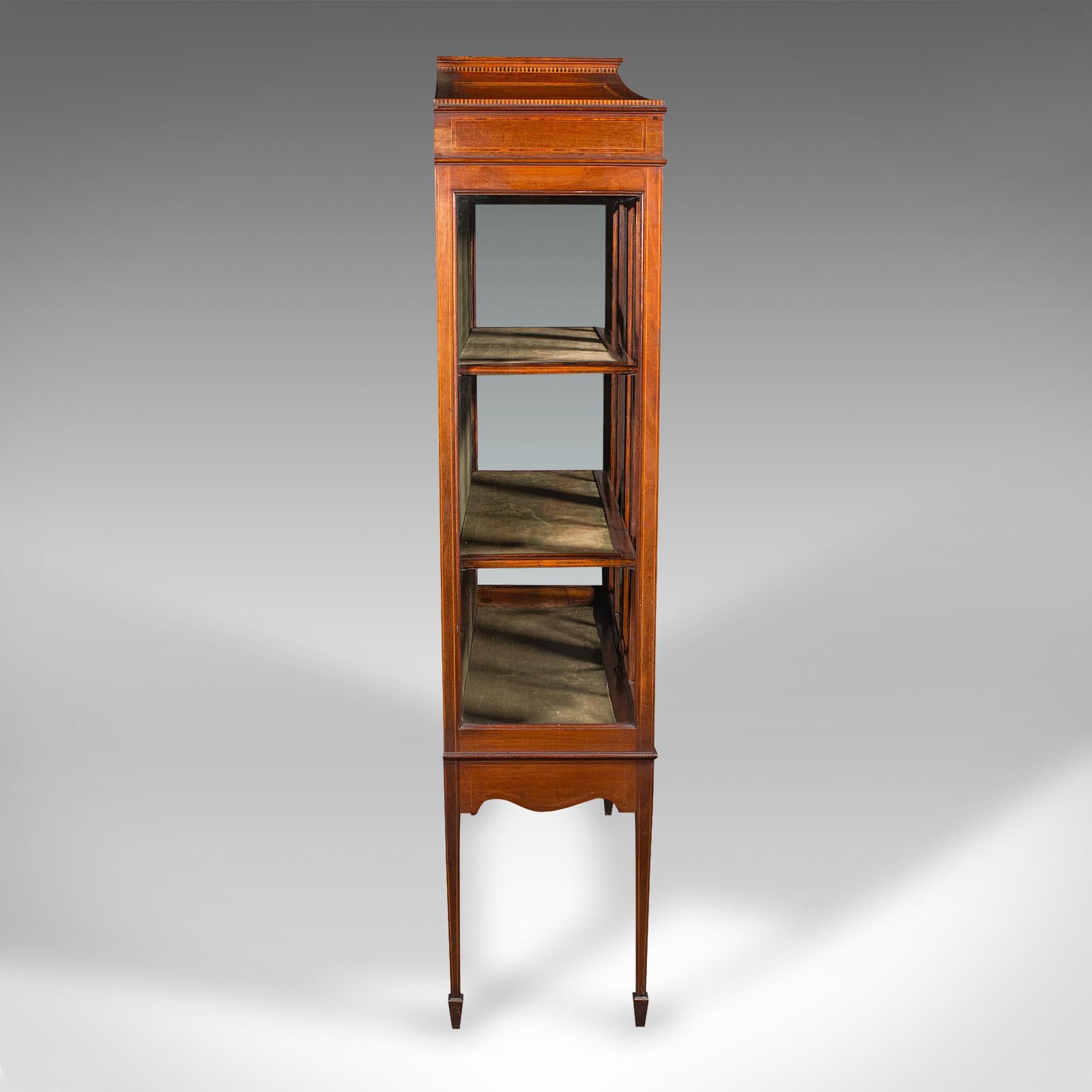 Vitrina de porcelana antigua, librería esmaltada inglesa, eduardiana, gusto regencia Británico en venta