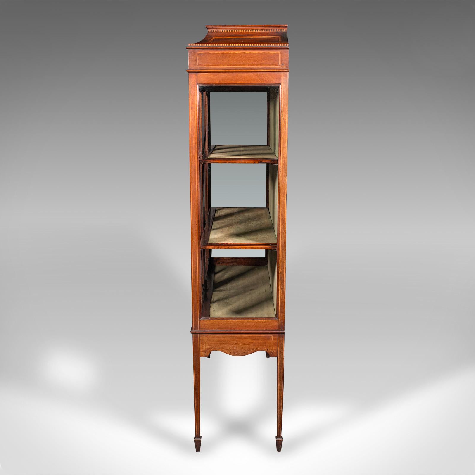 Vitrina de porcelana antigua, librería esmaltada inglesa, eduardiana, gusto regencia siglo XX en venta