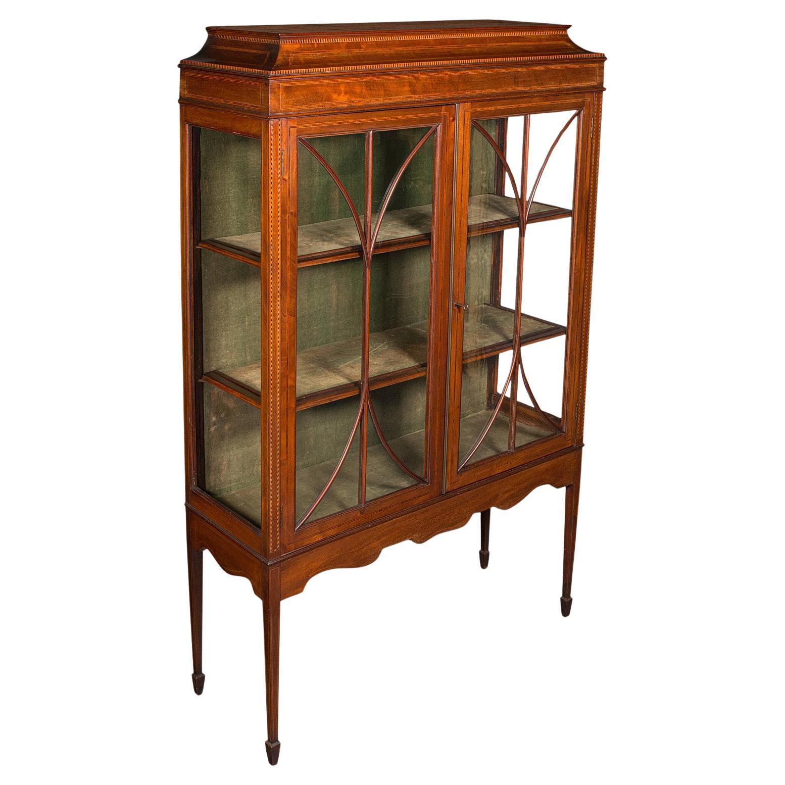 Antique China Display Cabinet, English Glazed Bookcase, Edwardian, Regency Taste