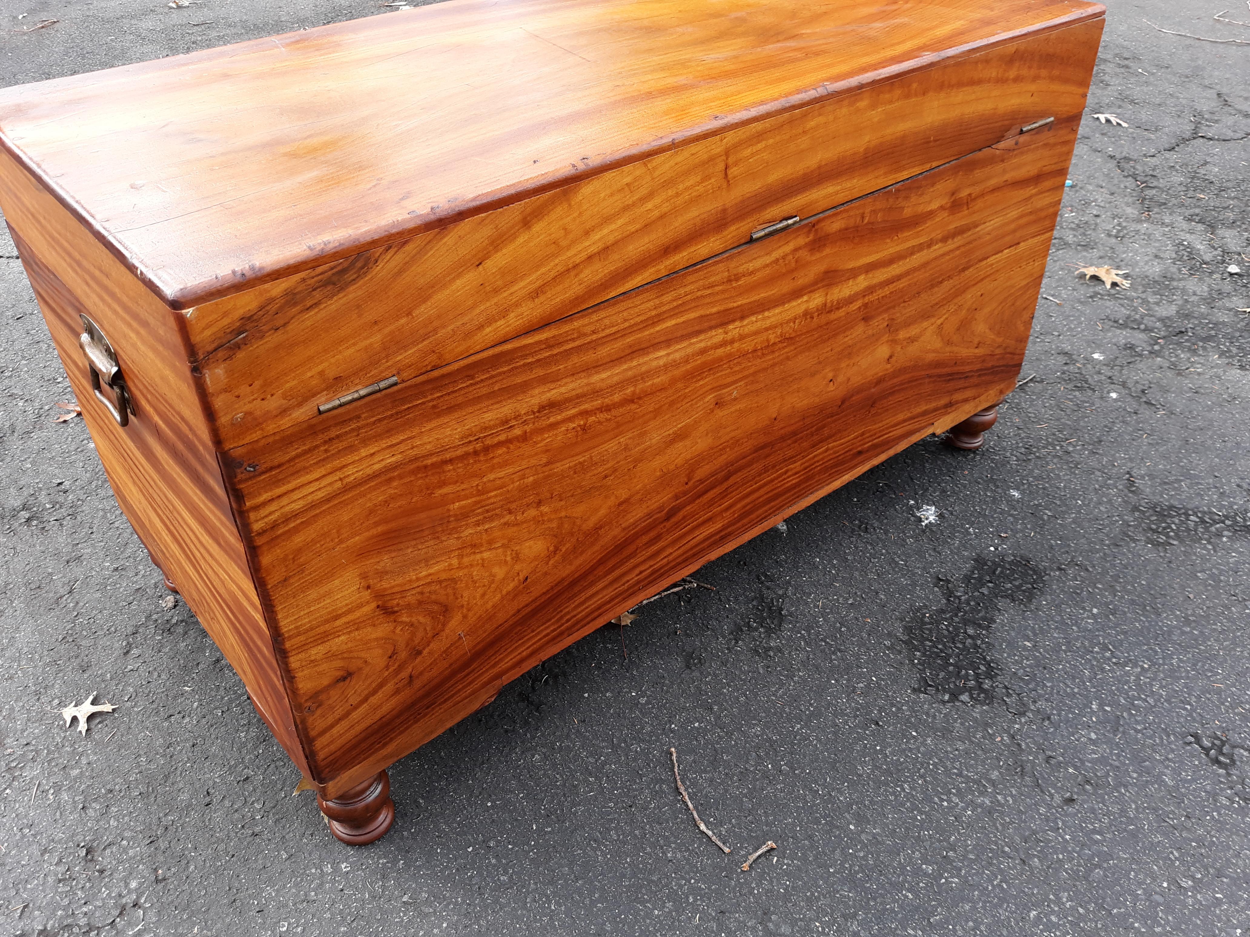 Antique Chinese Camphor Wood Blanket Chest In Good Condition In Lambertville, NJ