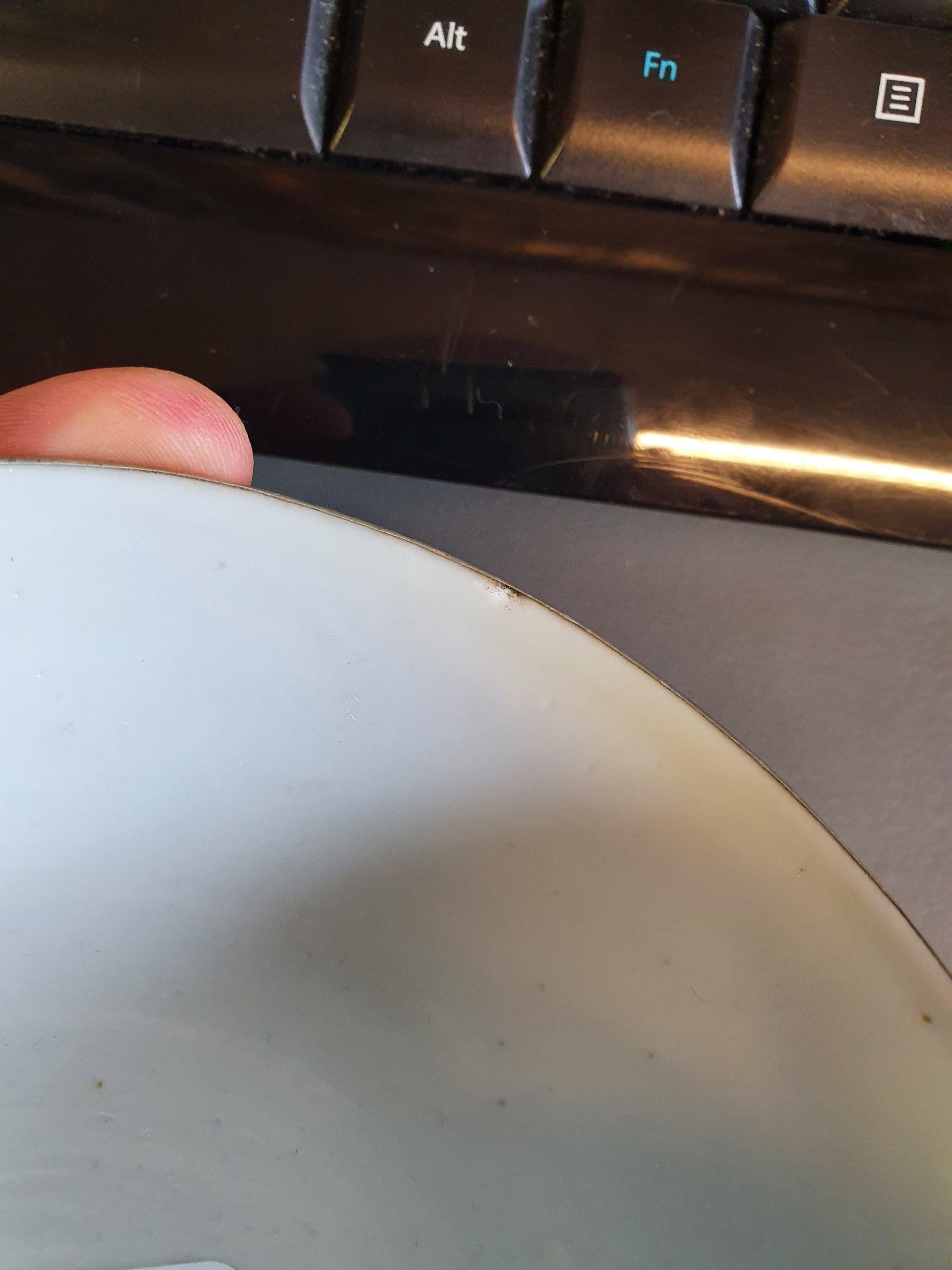 Antique Chinese 19th Century Bleu de Hue Bowl Vietnamese Market Phoenix 6