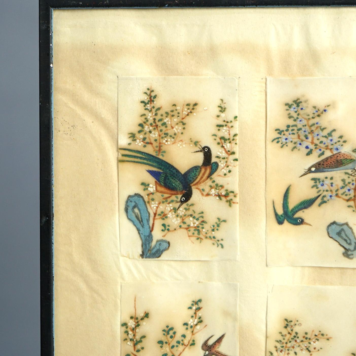 Antike chinesische Vogel Studie Aquarell Gemälde auf Papier C1920 im Angebot 4