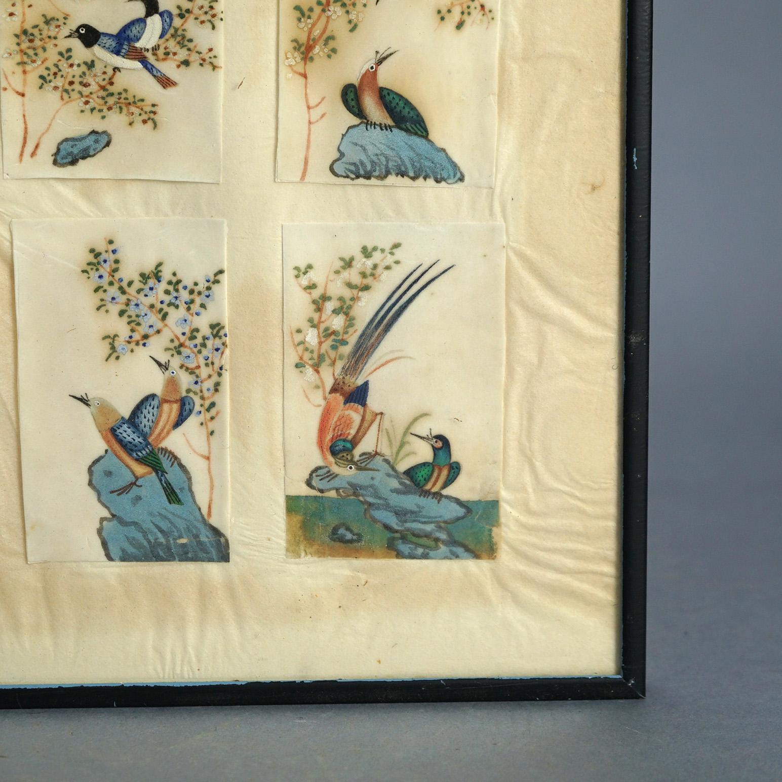 Antike chinesische Vogel Studie Aquarell Gemälde auf Papier C1920

Maße - 15,25 