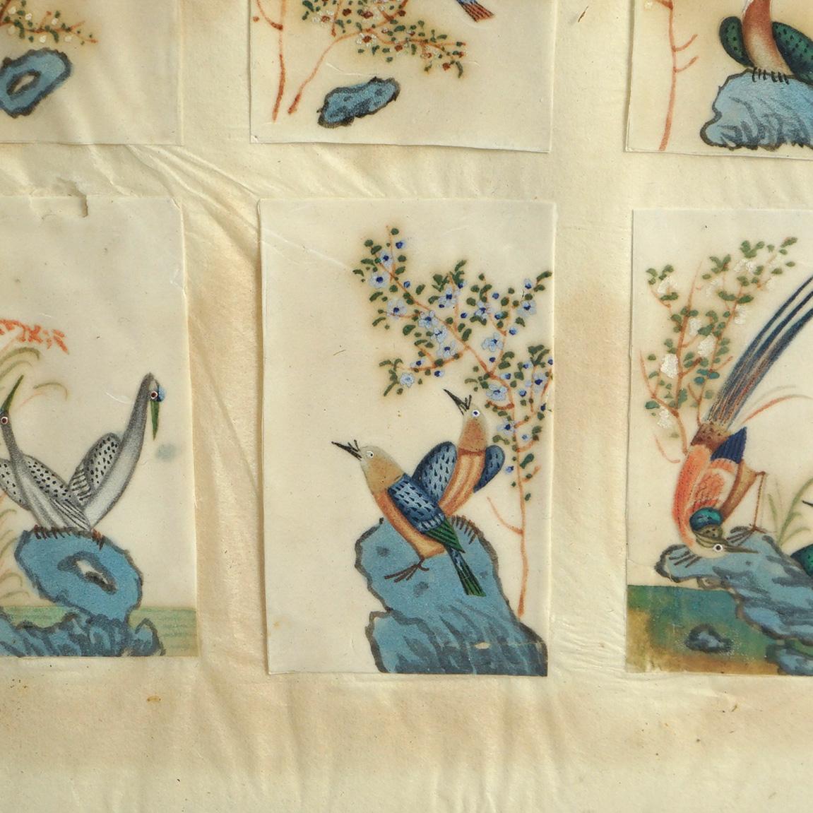 Hand-Painted Antique Chinese Bird Study Watercolor Paintings on Paper C1920 For Sale
