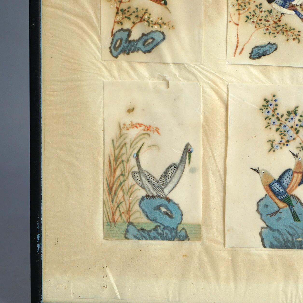 Antike chinesische Vogel Studie Aquarell Gemälde auf Papier C1920 (Handbemalt) im Angebot