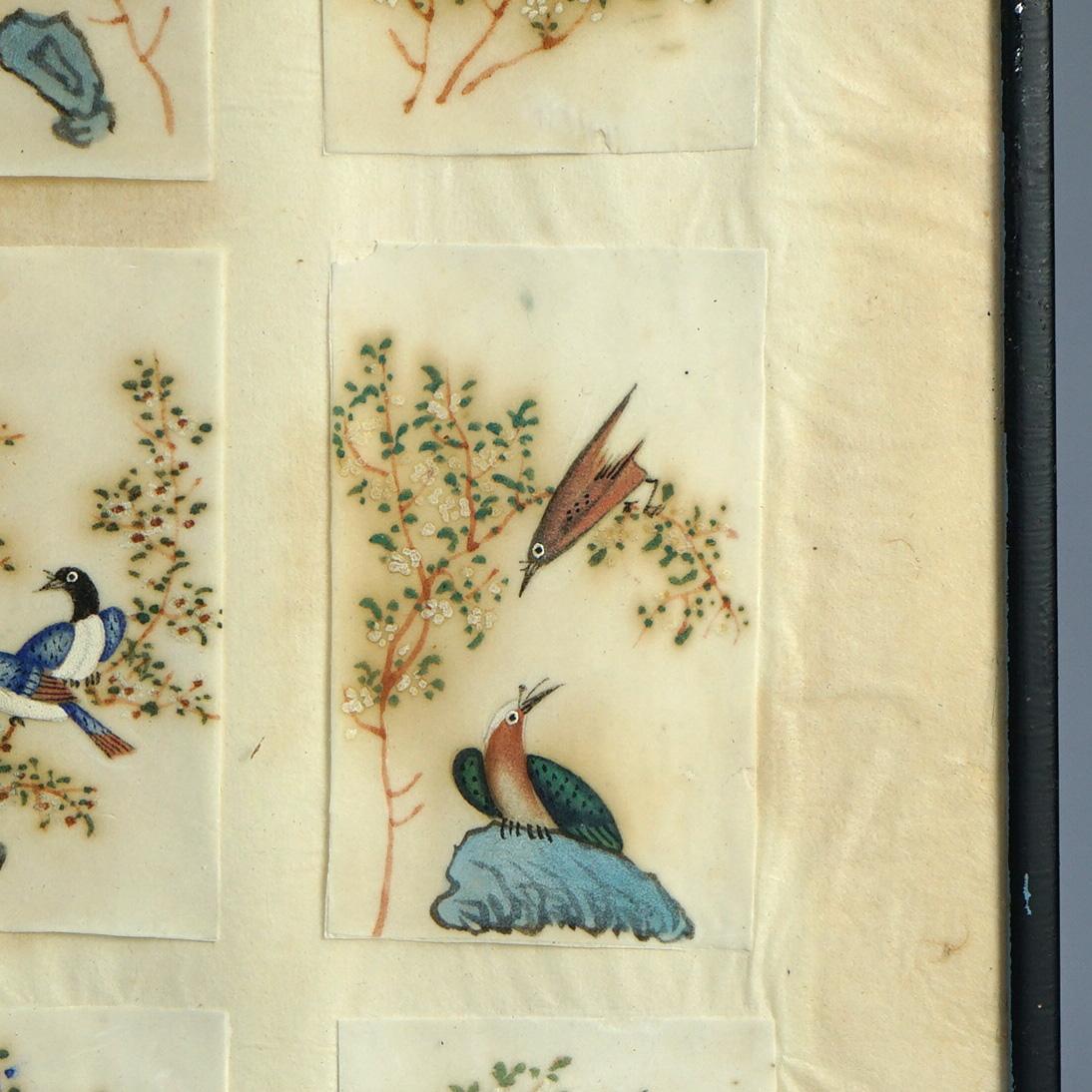 Antike chinesische Vogel Studie Aquarell Gemälde auf Papier C1920 im Angebot 1