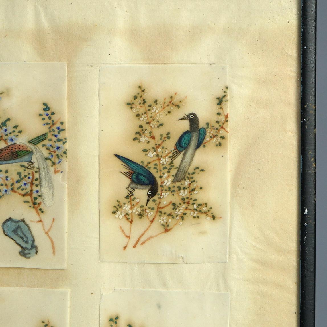 Antike chinesische Vogel Studie Aquarell Gemälde auf Papier C1920 im Angebot 2