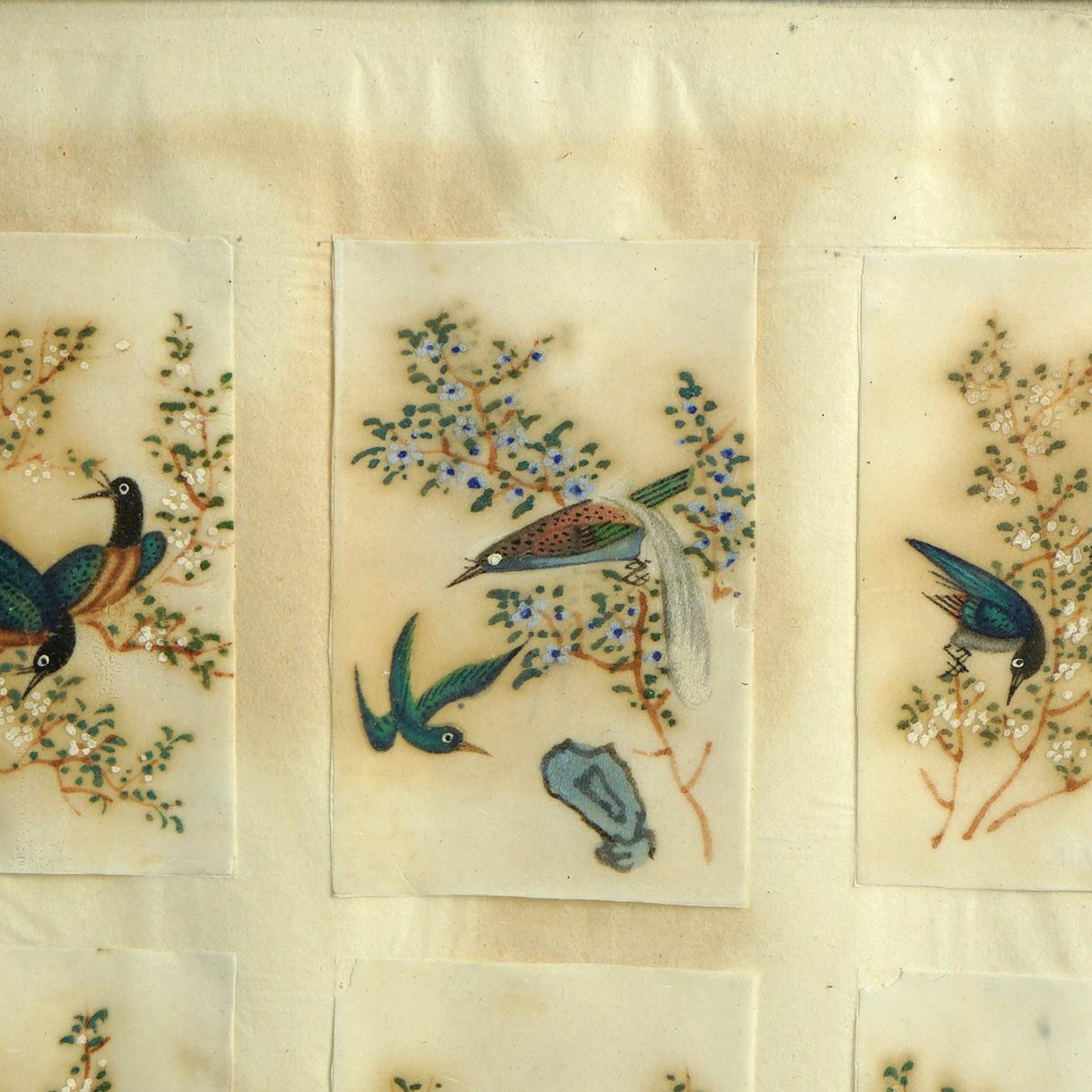 Antike chinesische Vogel Studie Aquarell Gemälde auf Papier C1920 im Angebot 3