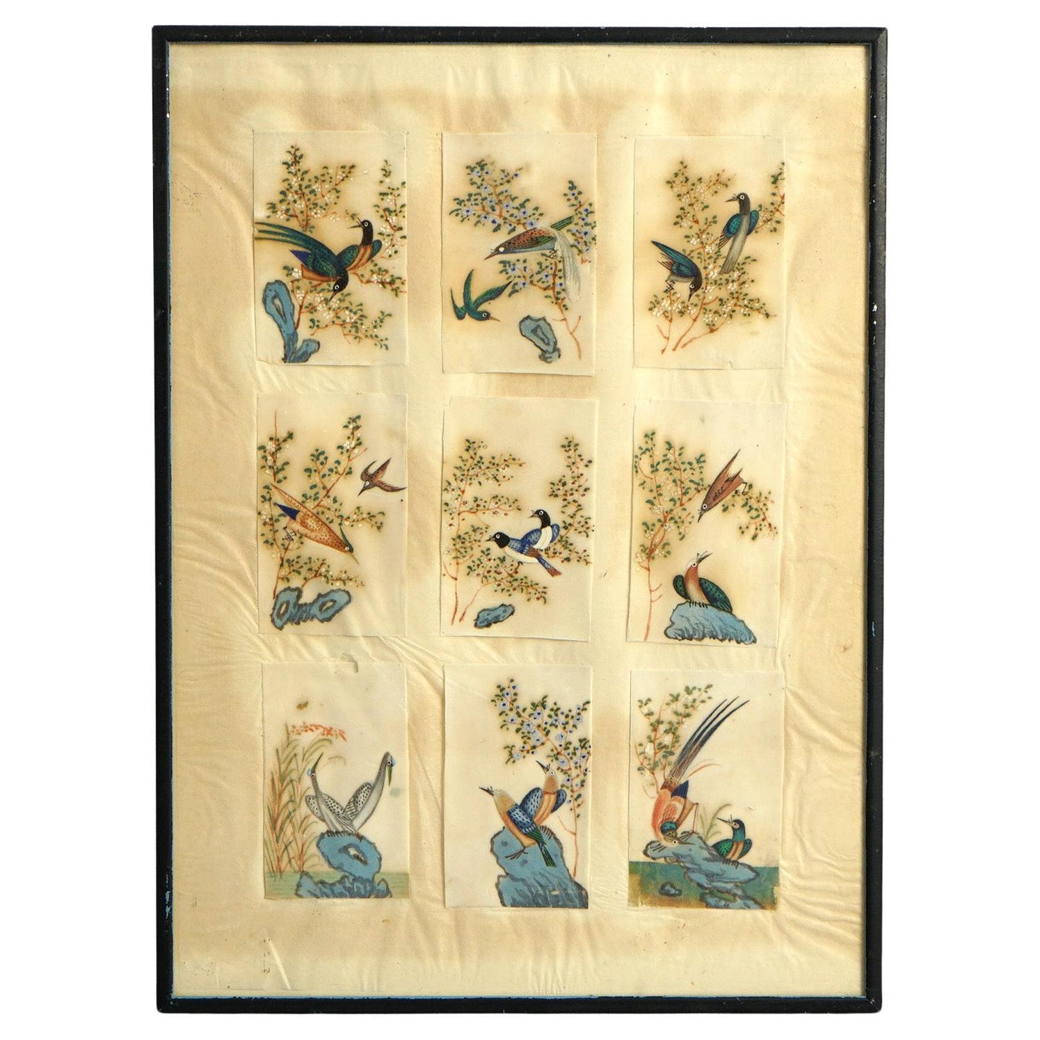 Antike chinesische Vogel Studie Aquarell Gemälde auf Papier C1920 im Angebot