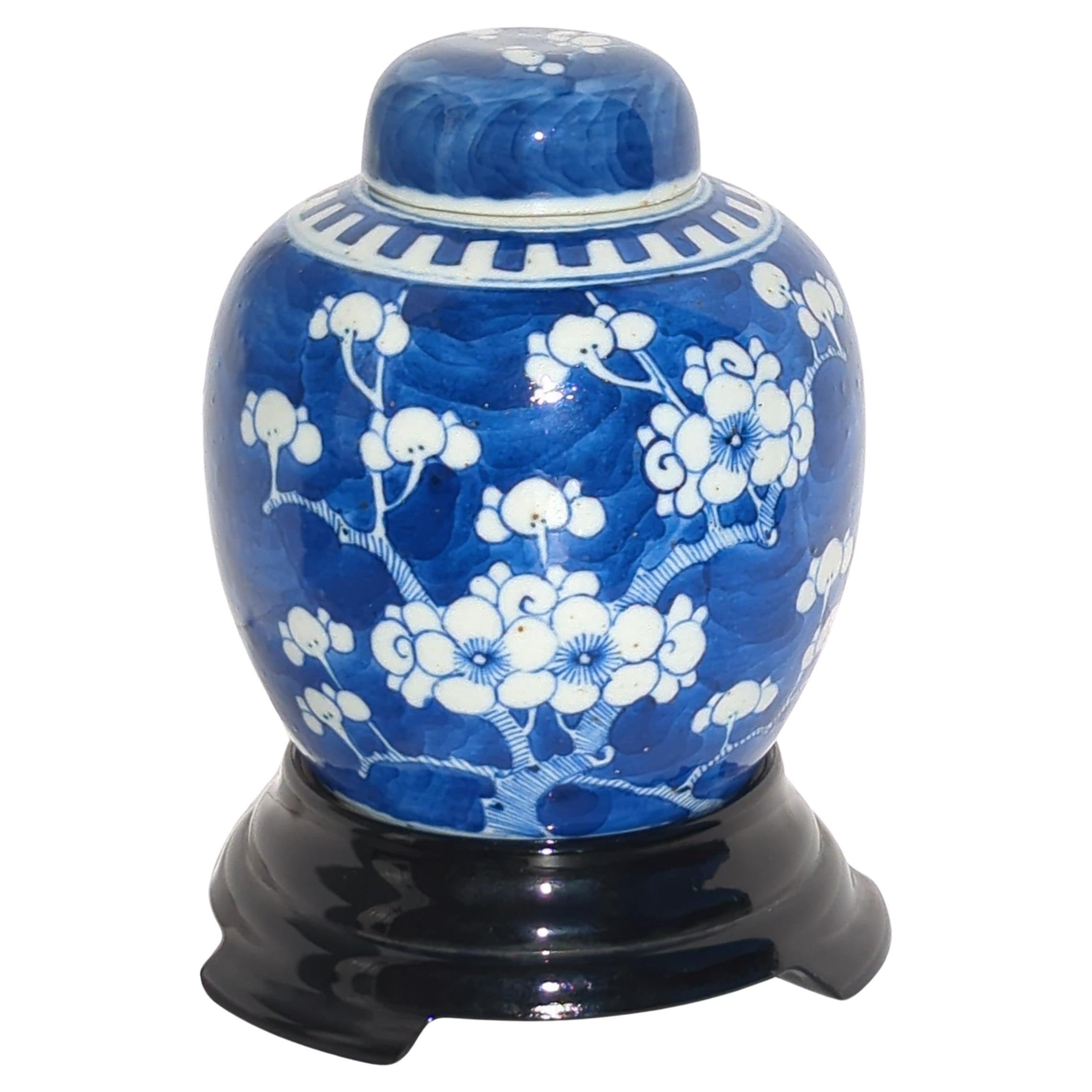 Antique Chinese Blue & White Prunus Blossoms Covered Ginger Jar Vase Early 20c For Sale 4