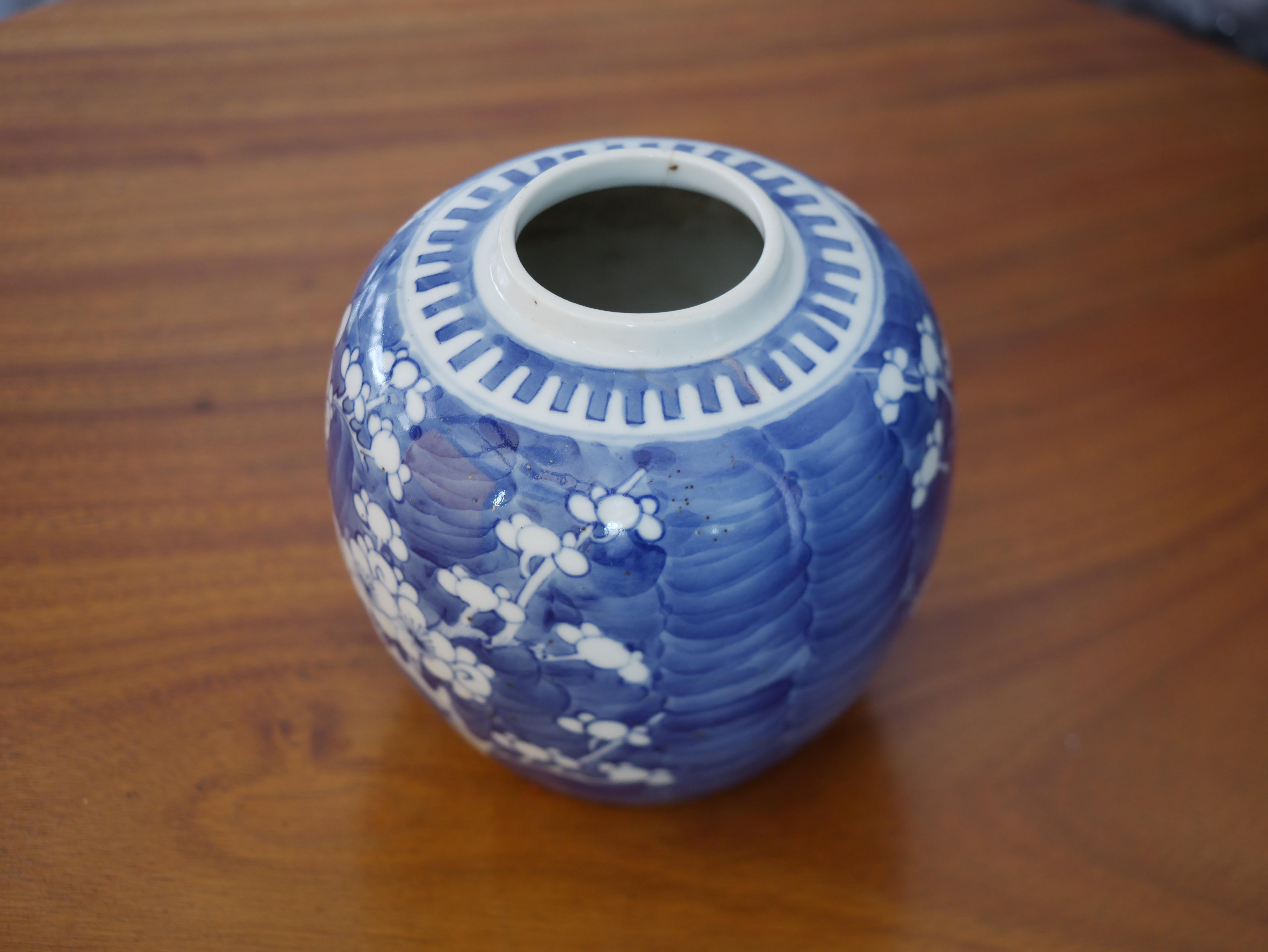 Antique Chinese Blue & White Prunus Blossoms Ginger Jar  For Sale 2