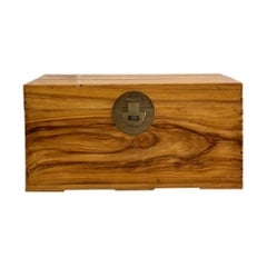 Antique Chinese Brown Elm Wood and Brass Rectangular Chest Trunk Box