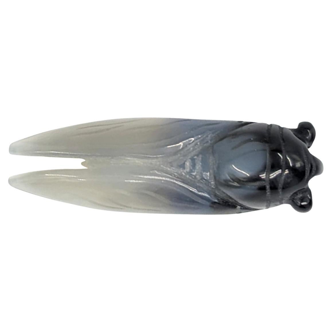 An almost life like antique Chinese carved agate cicada, with a loop between the bulging black eyes to wear as a pendant, and translucent life like wings. This bug looks like its ready to take flight any second!
