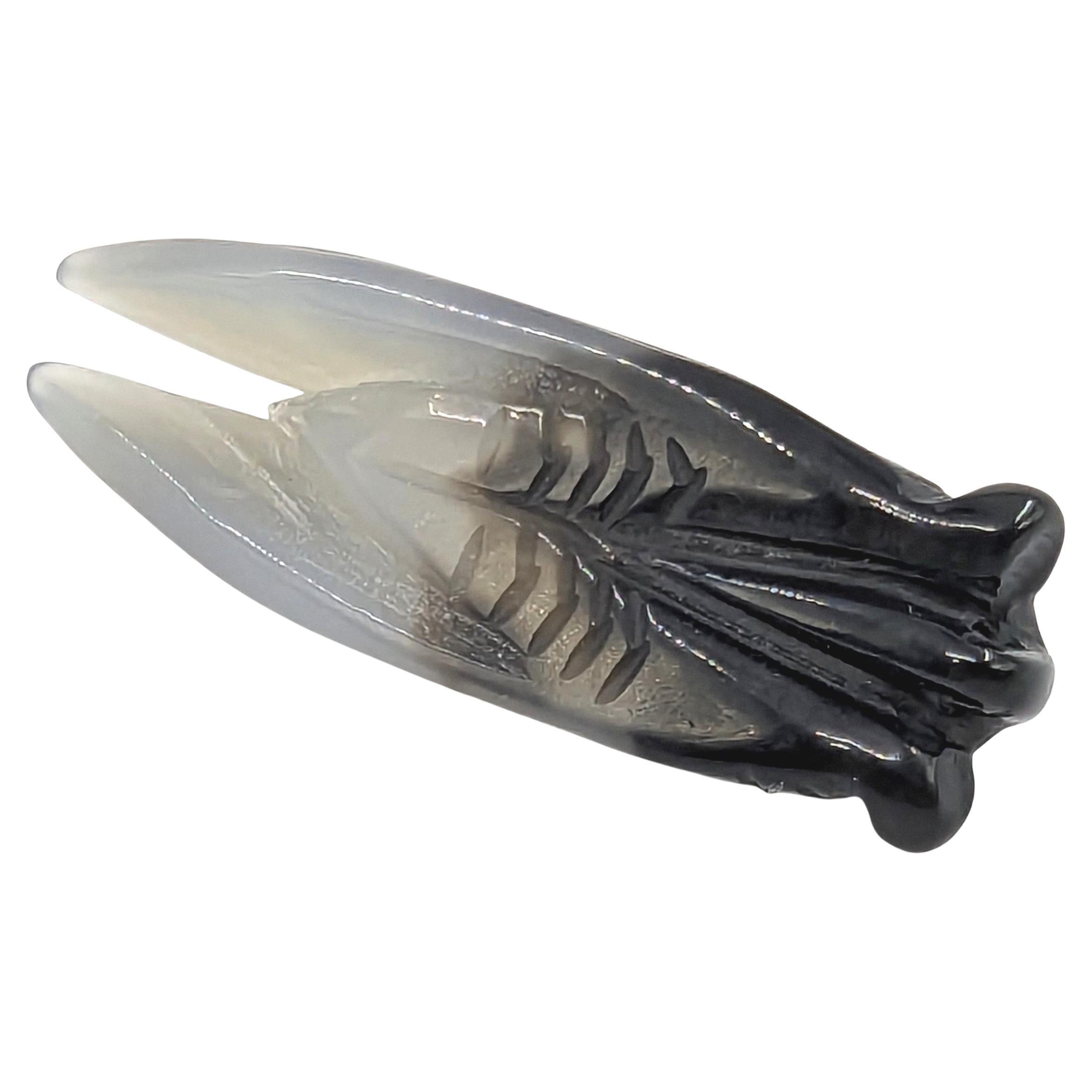 Antique Chinese Carved Agate Cicada Pendant 19c Qing For Sale 2