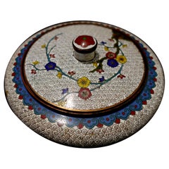 Antike chinesische Cloisonné-Emaille-Dose mit rundem Deckel 19. Jahrhundert CO#08
