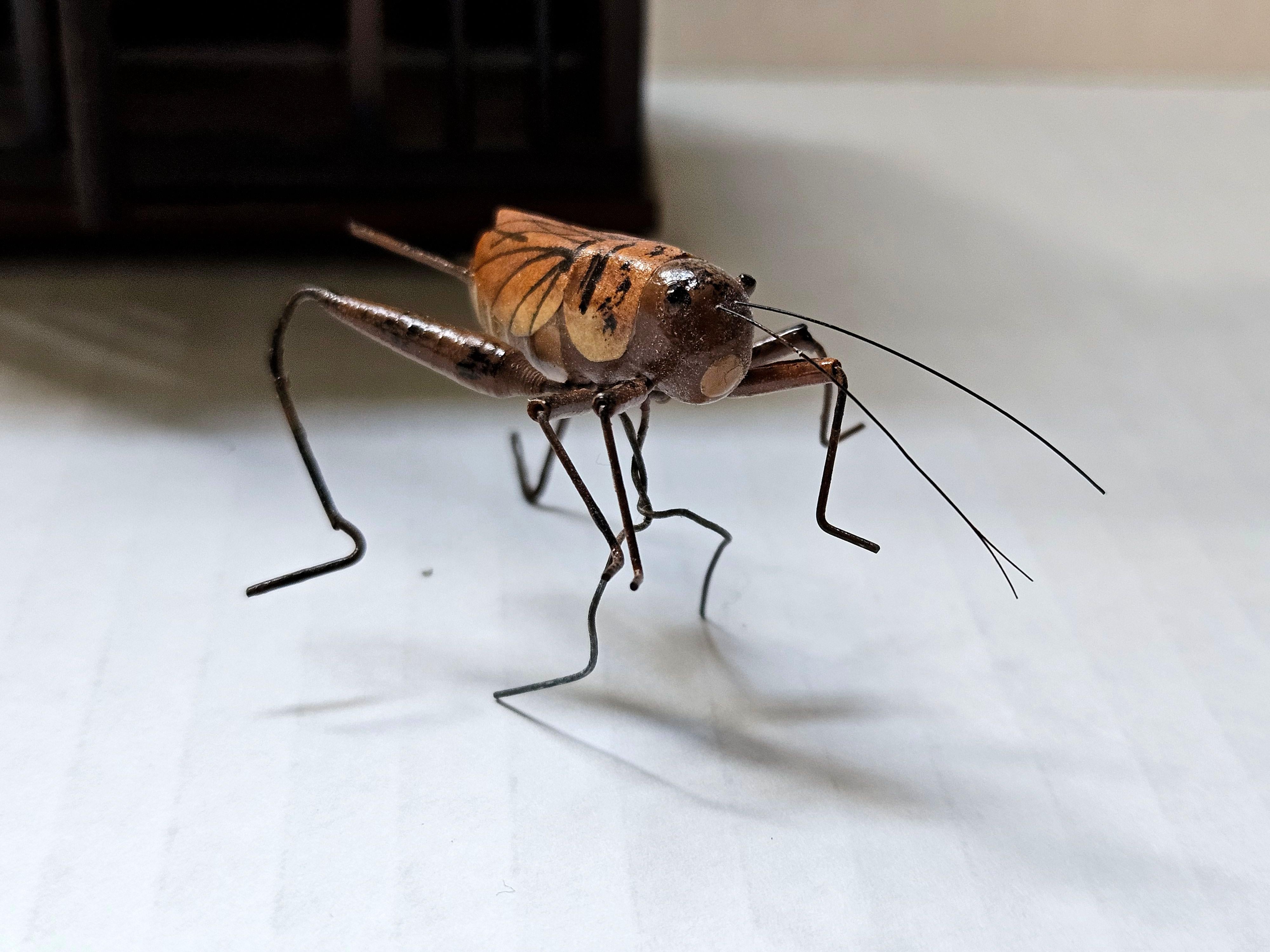 Antique Chinese Cricket Cage 