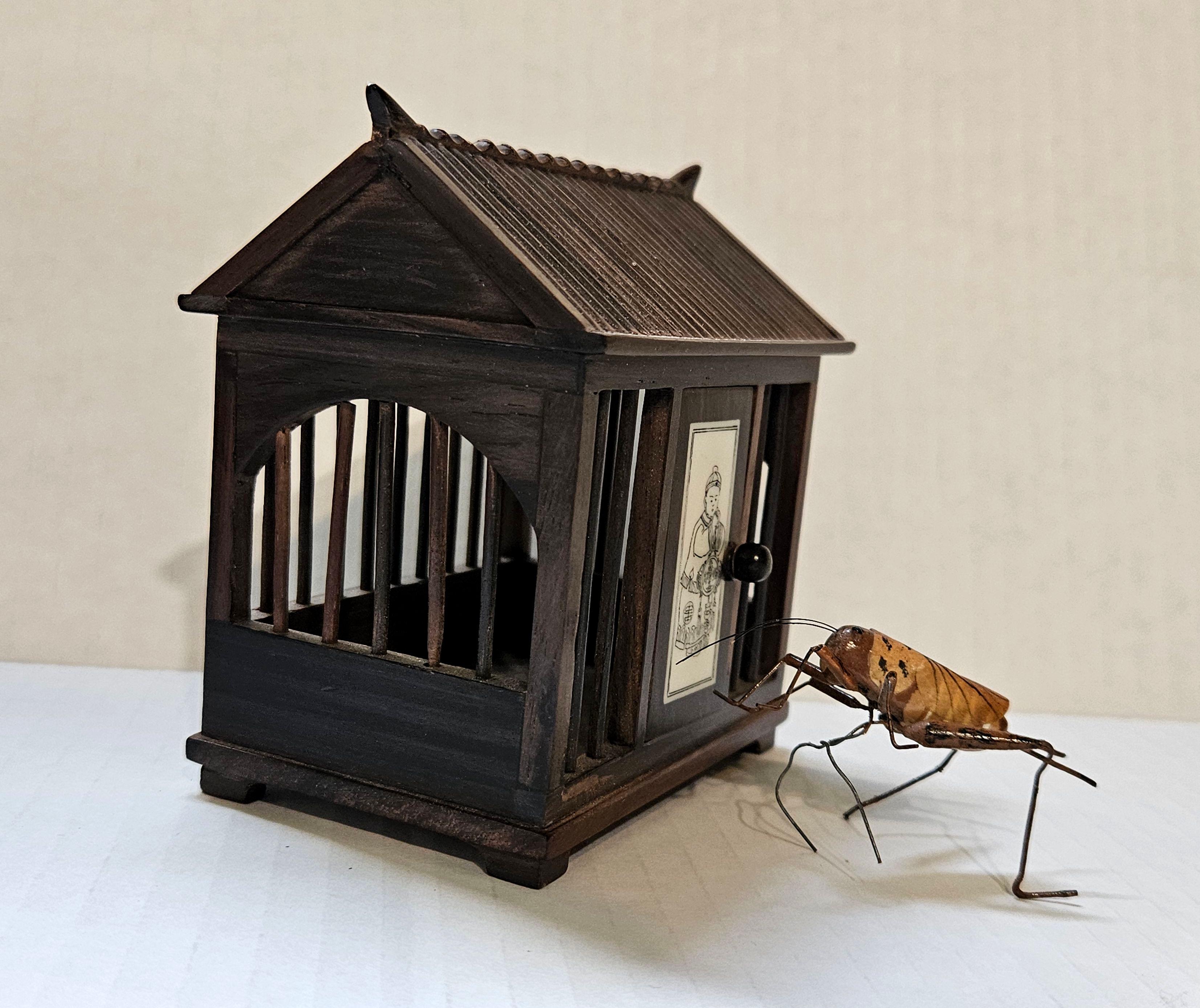 chinese cricket bug