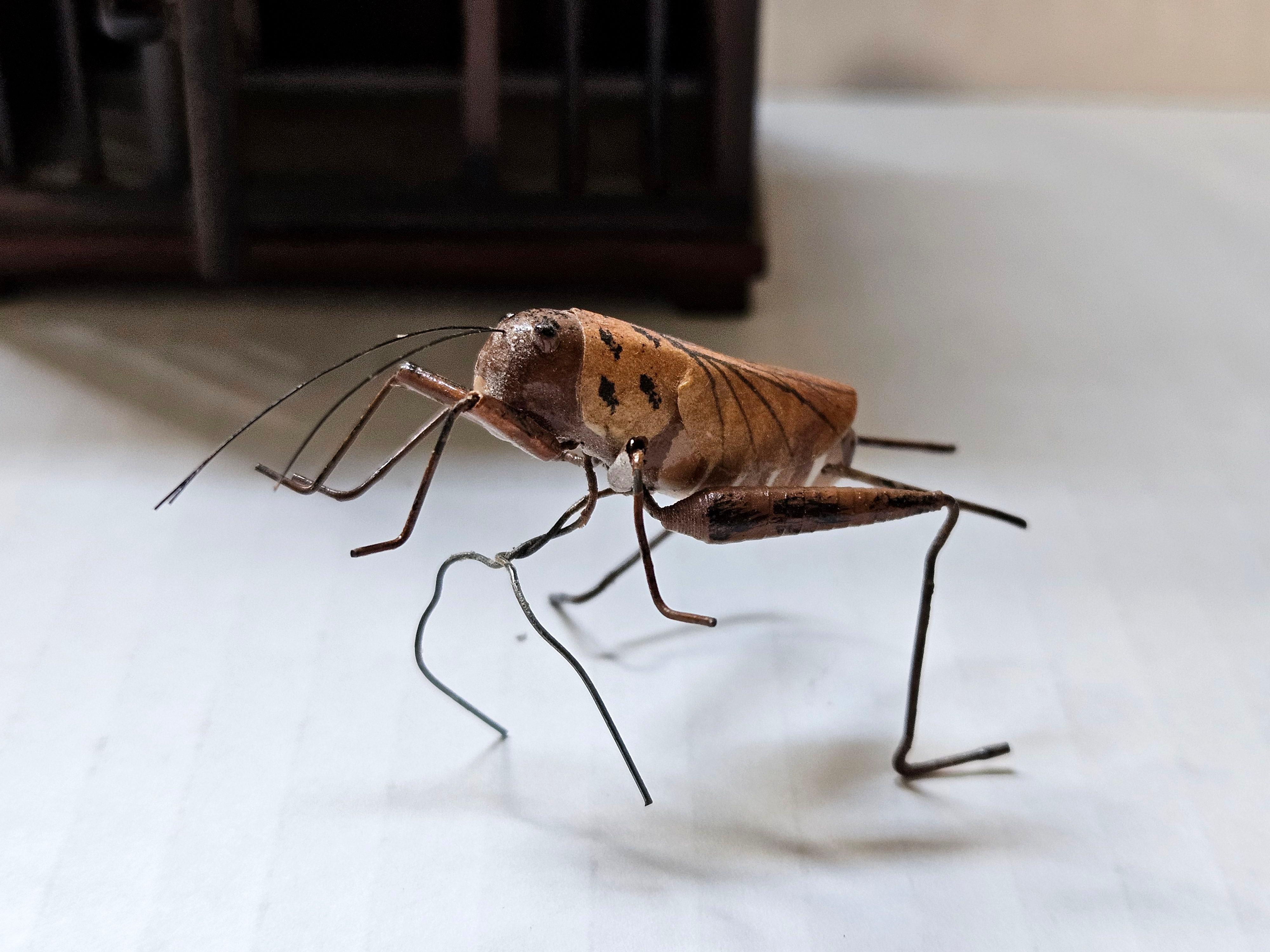 Wood Antique Chinese Cricket Cage 