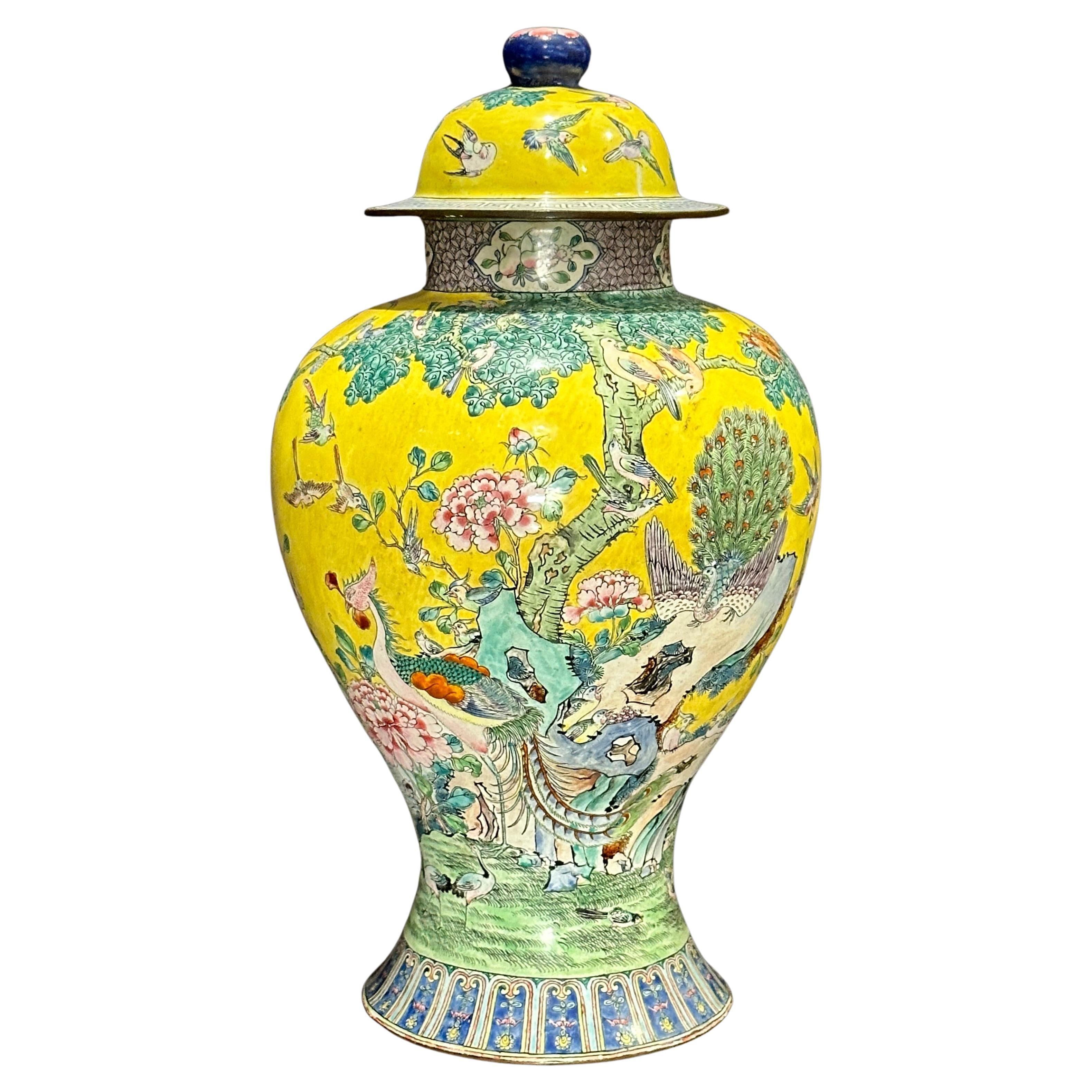 Antico vaso cinese in rame smaltato per lo zenzero