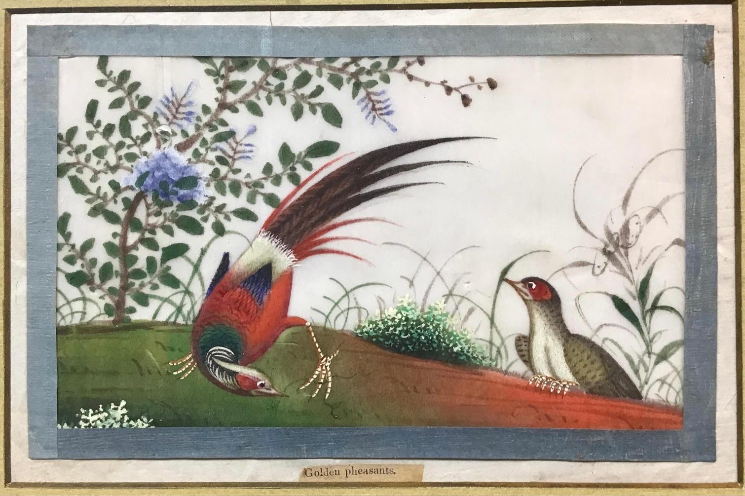 Fantastic framed and matted antique Chinese painting of birds. Painted on pith paper with gouache in bold colors in typical style. Titled on the bottom 