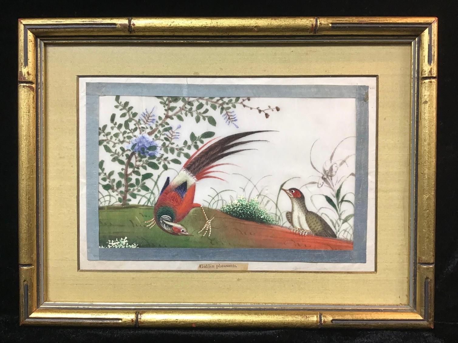 Antique Chinese Gouache Pith Painting of Birds In Good Condition In Bradenton, FL