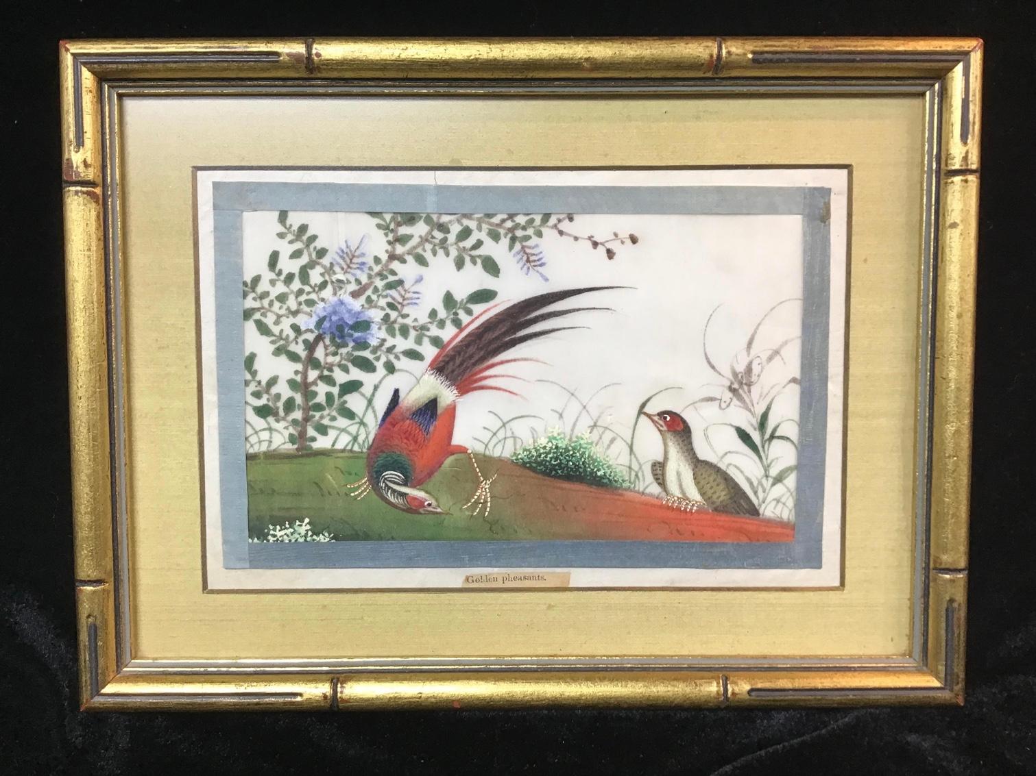 19th Century Antique Chinese Gouache Pith Painting of Birds