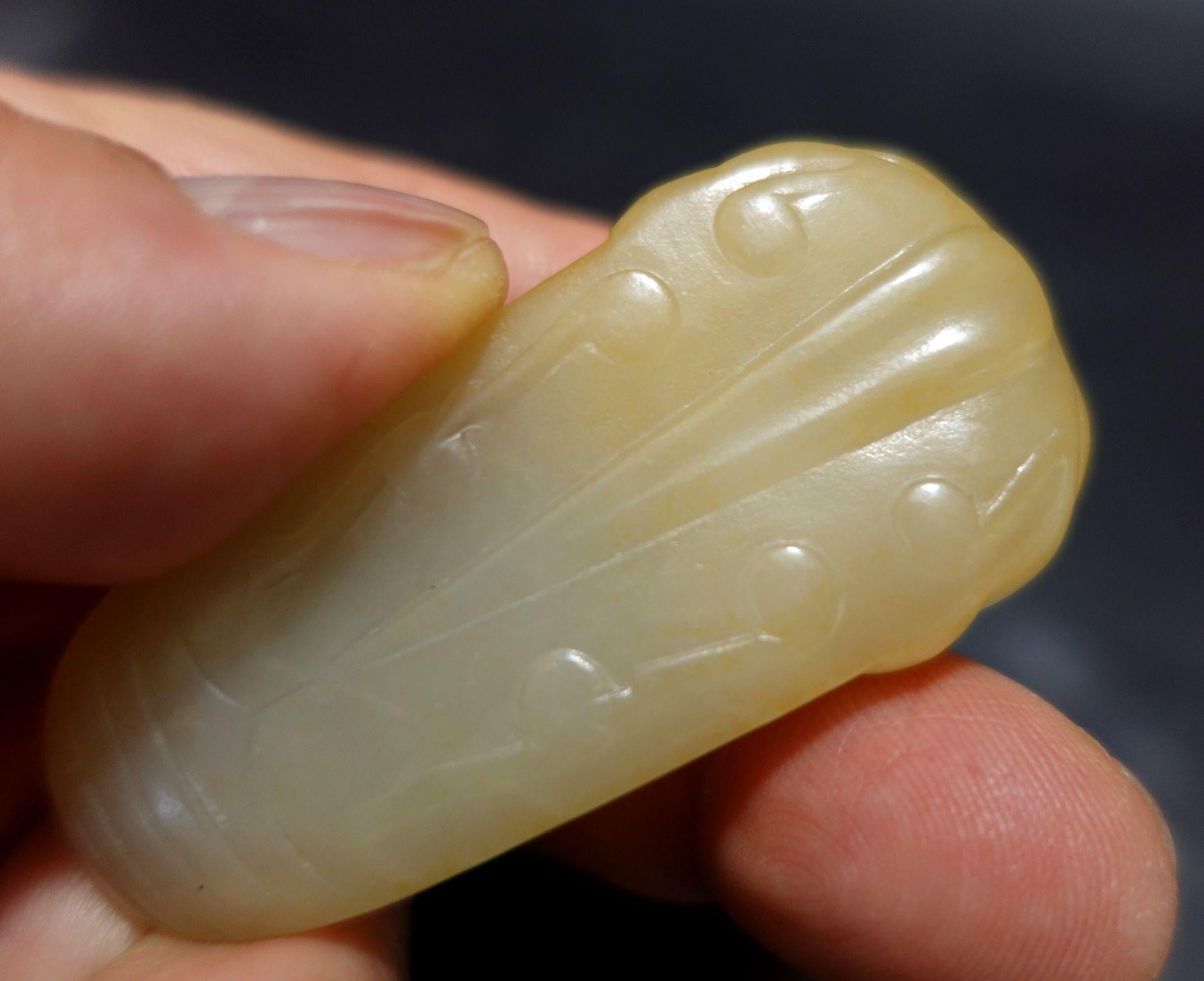 Antike chinesische Hetain-Weiß-Yellowish-Jade „Cicada“ aus Jade  19. Jahrhundert im Angebot 2
