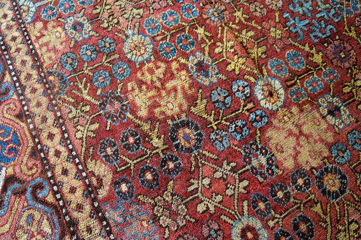 Late 18th Century Central Asian Chinese Khotan Carpet (6'6