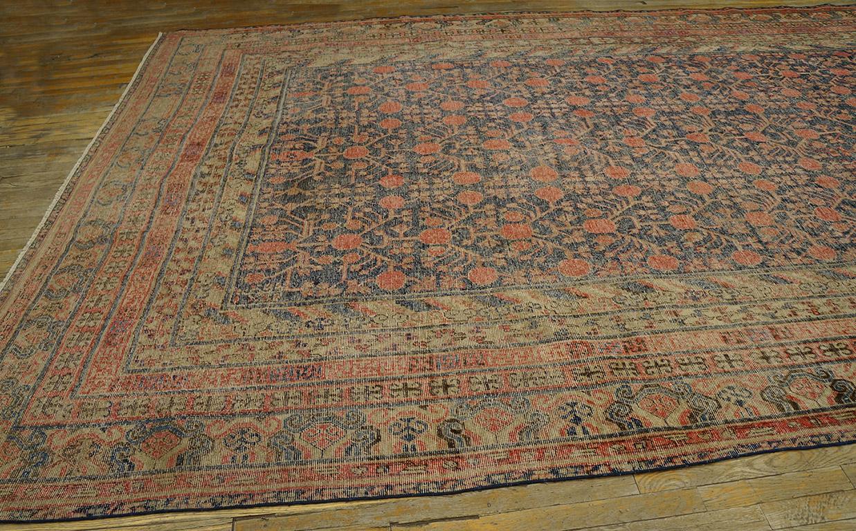 Wool Early 20th Century Central Asian Khotan Carpet ( 9' x 17' 6
