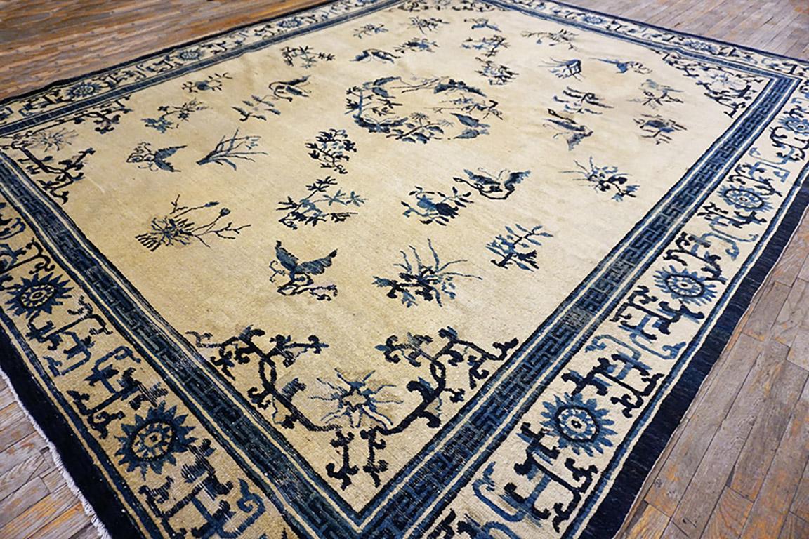 19th Century Chinese Ningxia Carpet ( 9'10