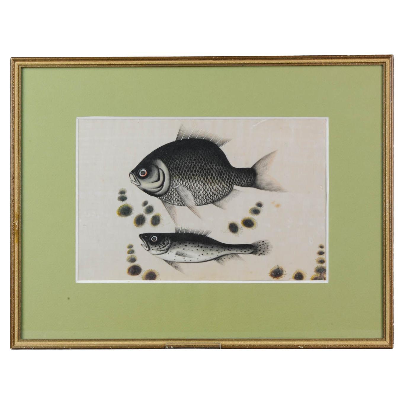 Antique Chinese or Japanese Fish Painting China Japan Qing / Edo or