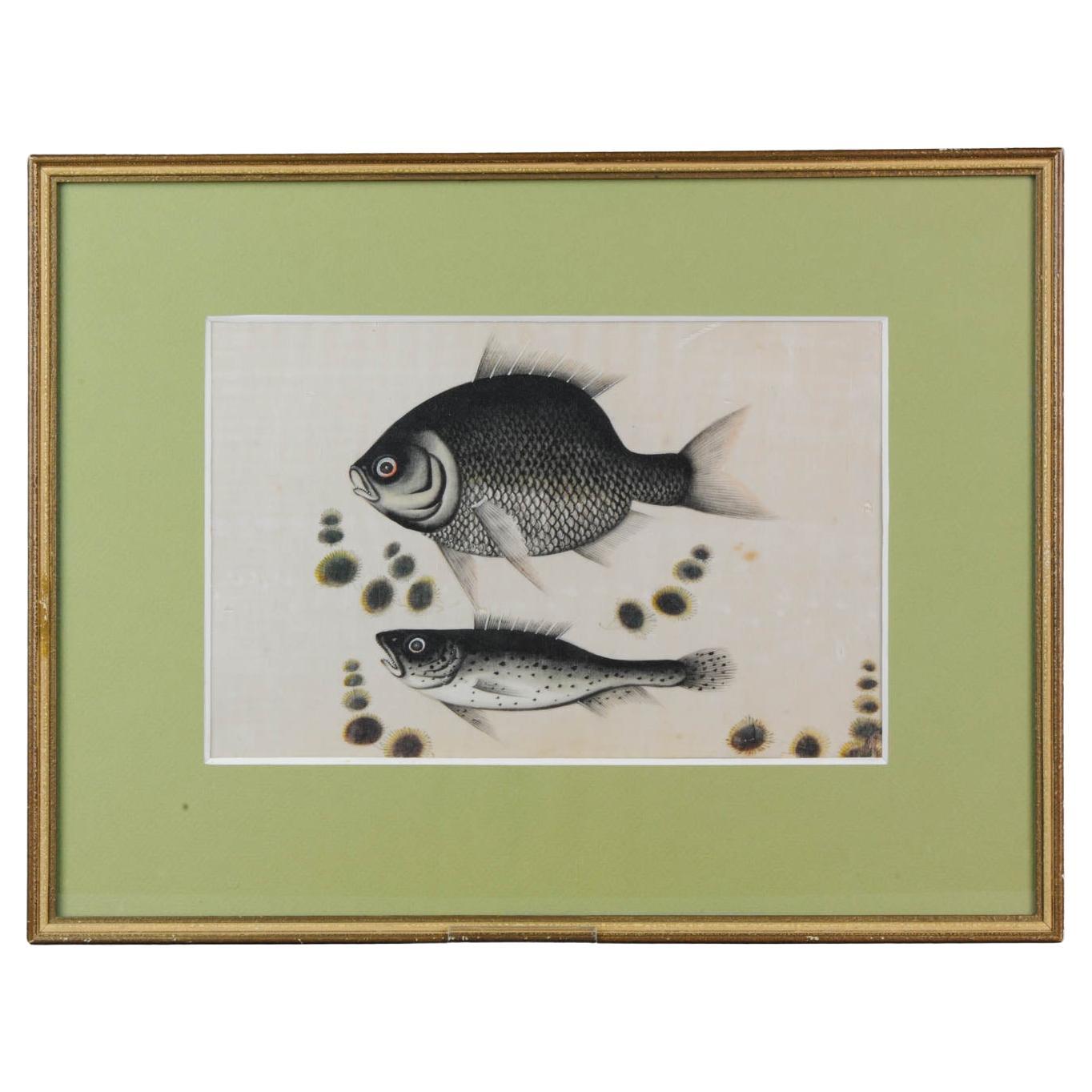 Antique Chinese or Japanese Fish Painting China Japan Qing / Edo or Meiji For Sale