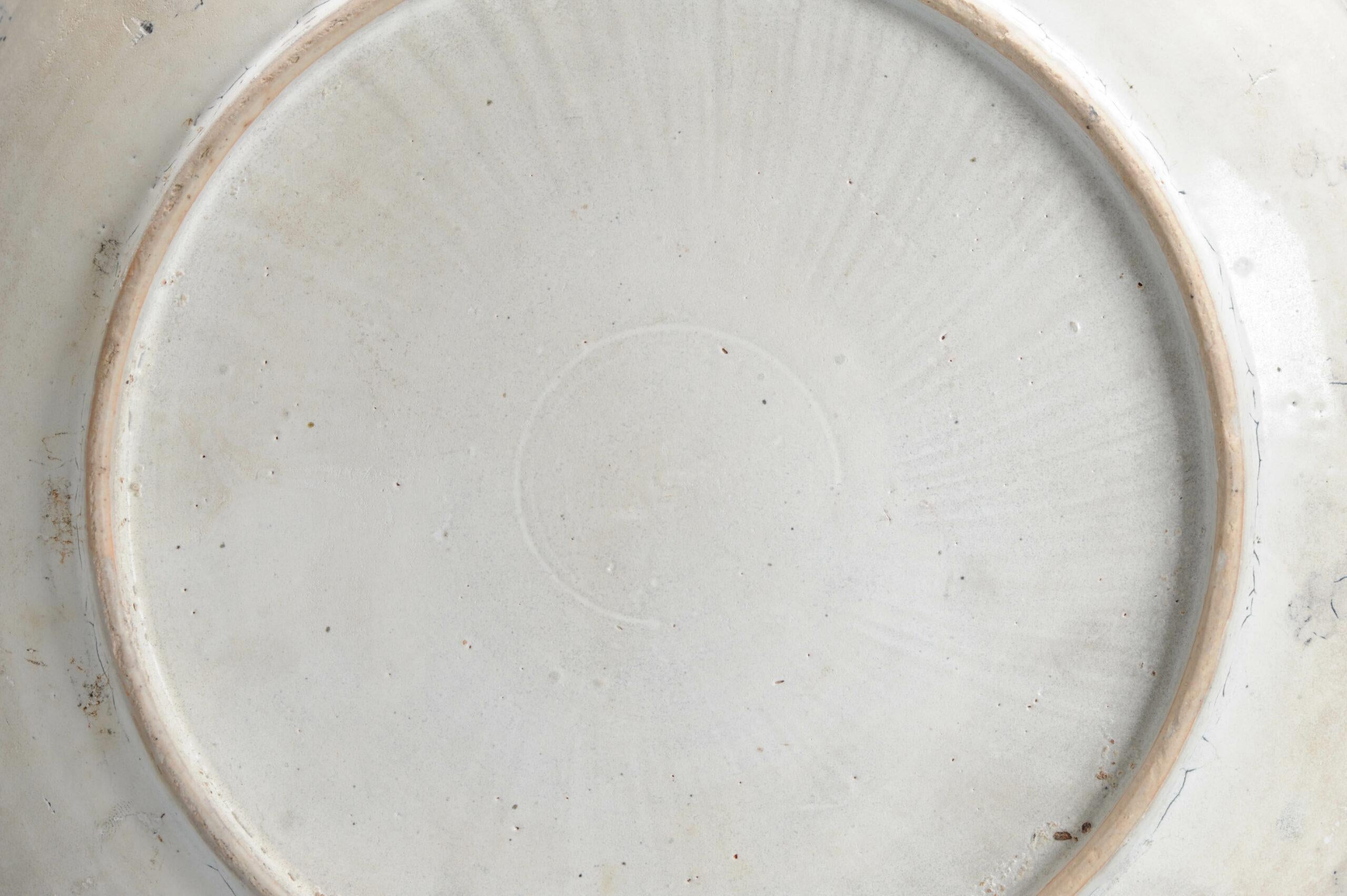 Antique Chinese Porcelain 16th century Jiajing/Wanli plate Fishes Fruits 12