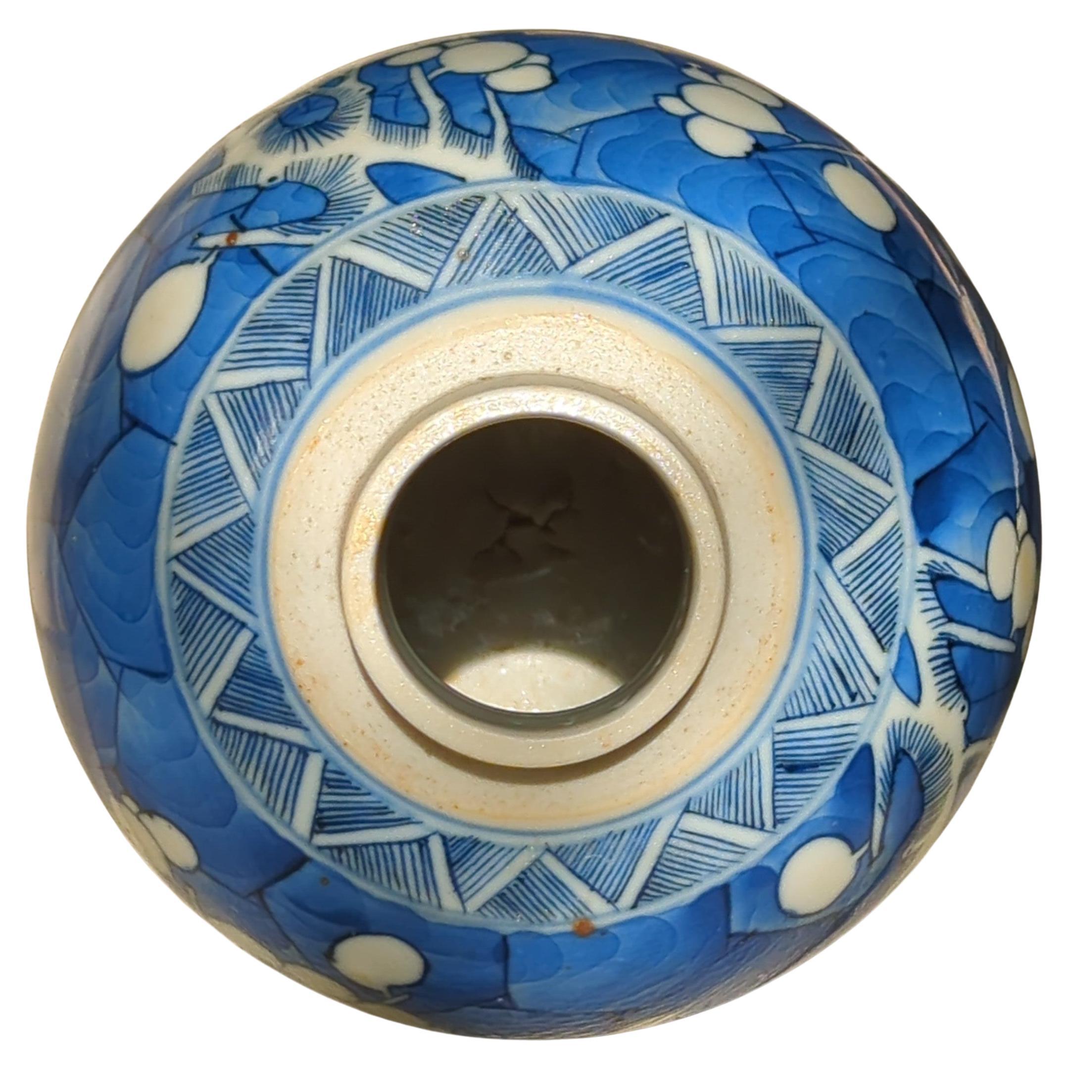 Ancienne jarre à gingembre d'aubépine bleue et blanche de Qing Kangxi, 18 carats  en vente 12