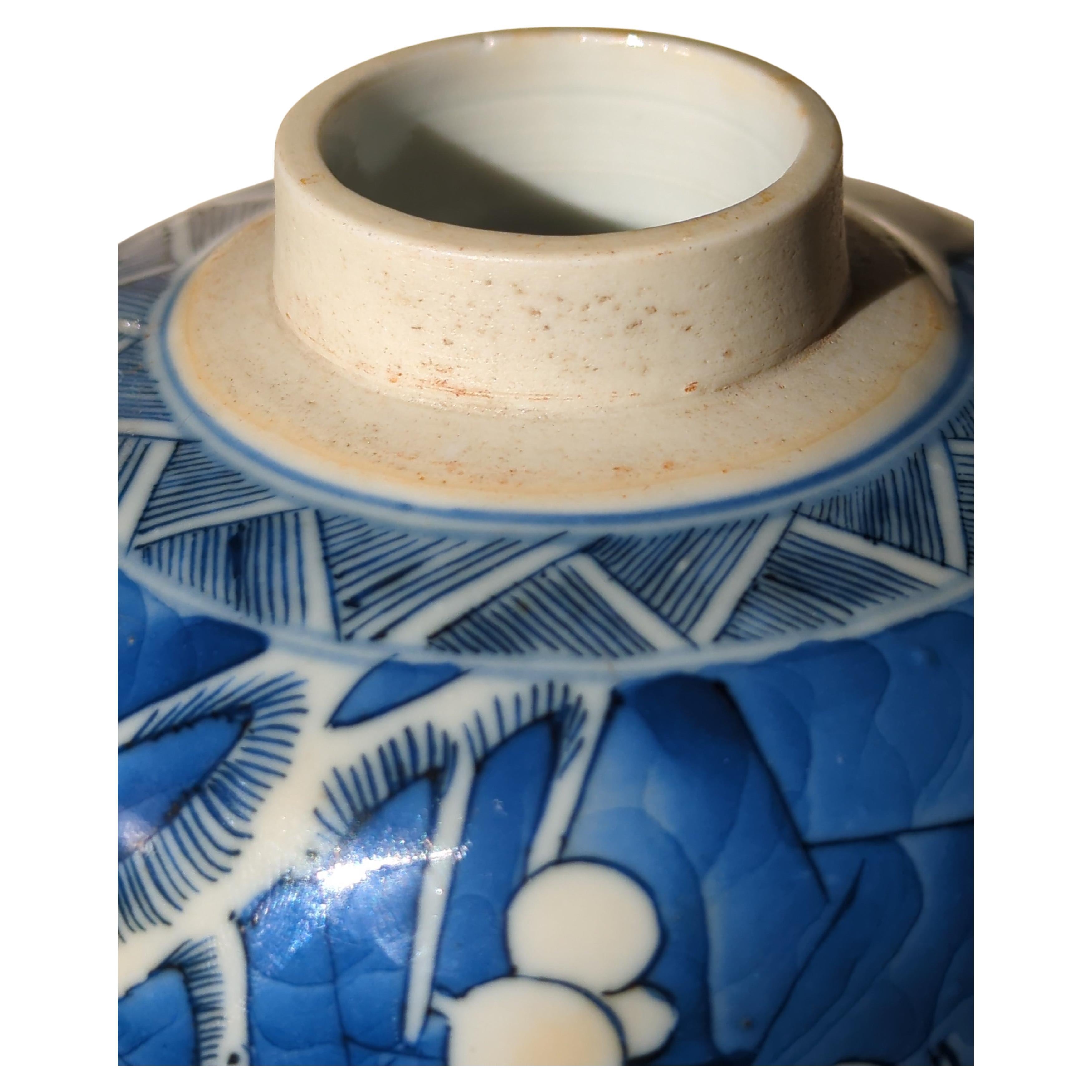 Antique Chinese Porcelain Blue White Hawthorn Prunus Ginger Jar Qing Kangxi 18c  For Sale 15