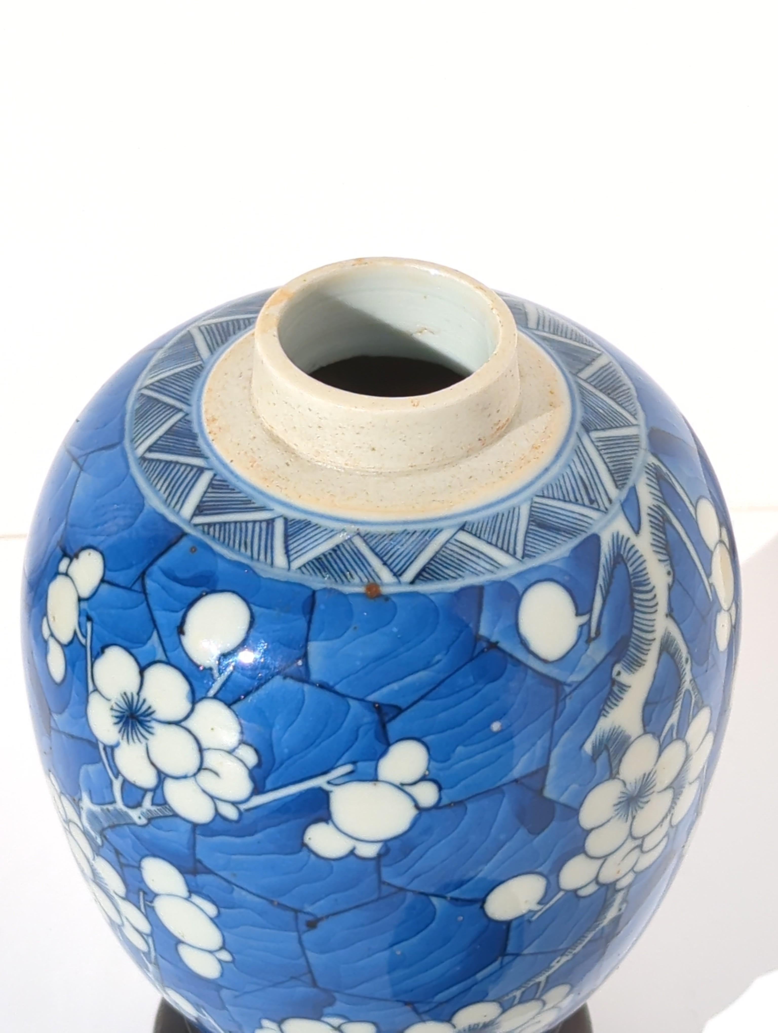 Antique Chinese Porcelain Blue White Hawthorn Prunus Ginger Jar Qing Kangxi 18c  For Sale 16
