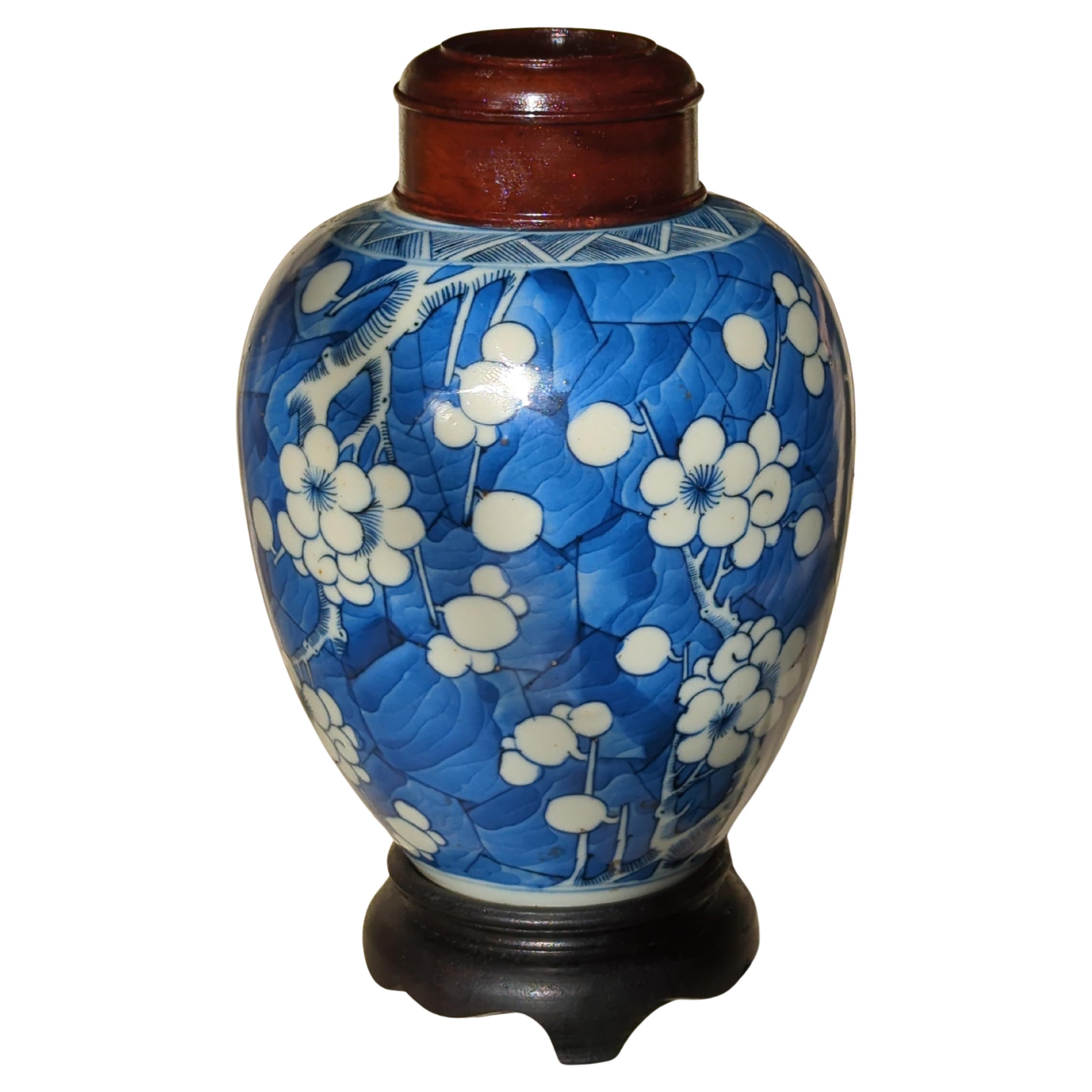 Antique Chinese Porcelain Blue White Hawthorn Prunus Ginger Jar Qing Kangxi 18c  For Sale 10