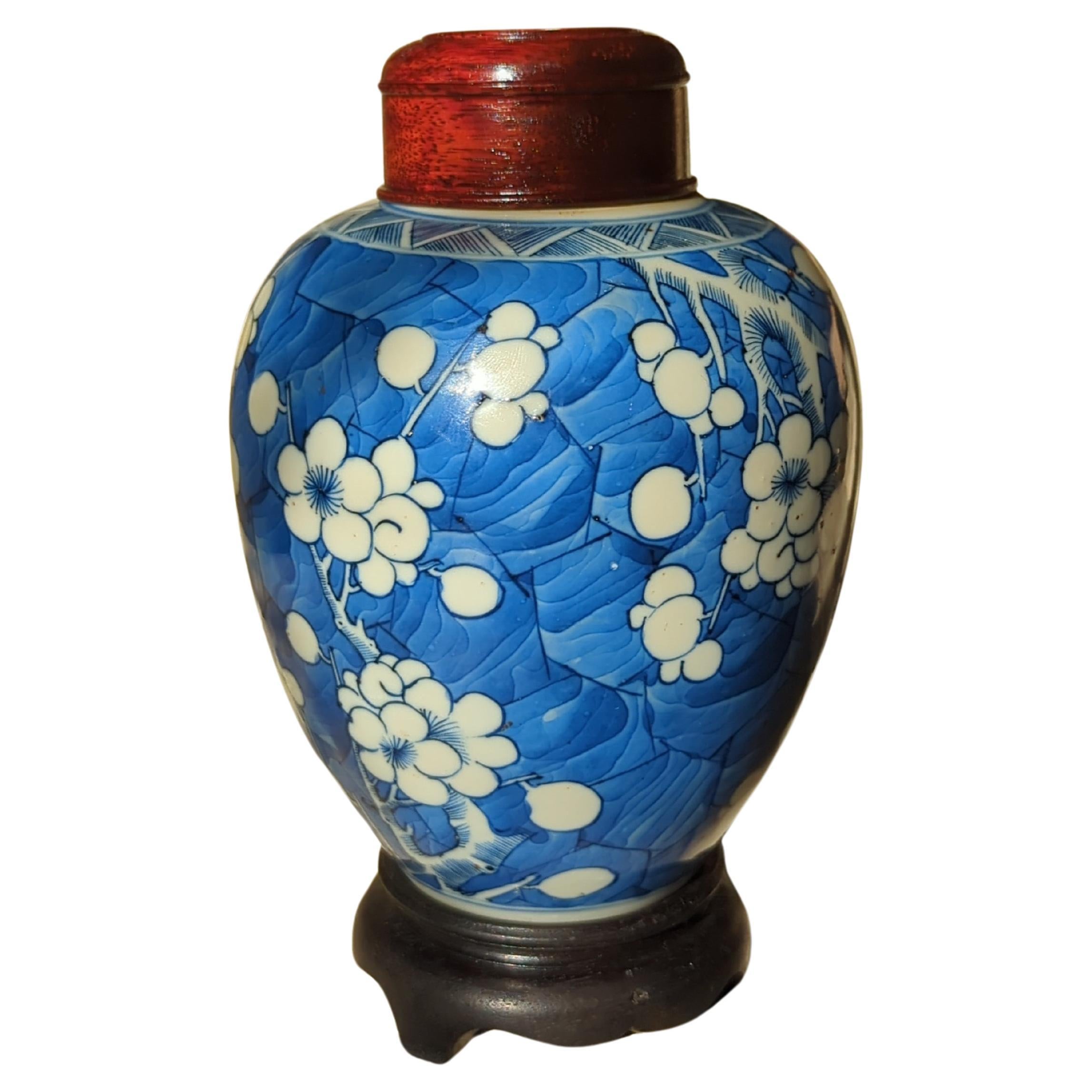 Antique Chinese Porcelain Blue White Hawthorn Prunus Ginger Jar Qing Kangxi 18c  For Sale 12