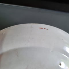 Antique Chinese Porcelain Cantonese Dish Bird Butterfly Flower, 19 C