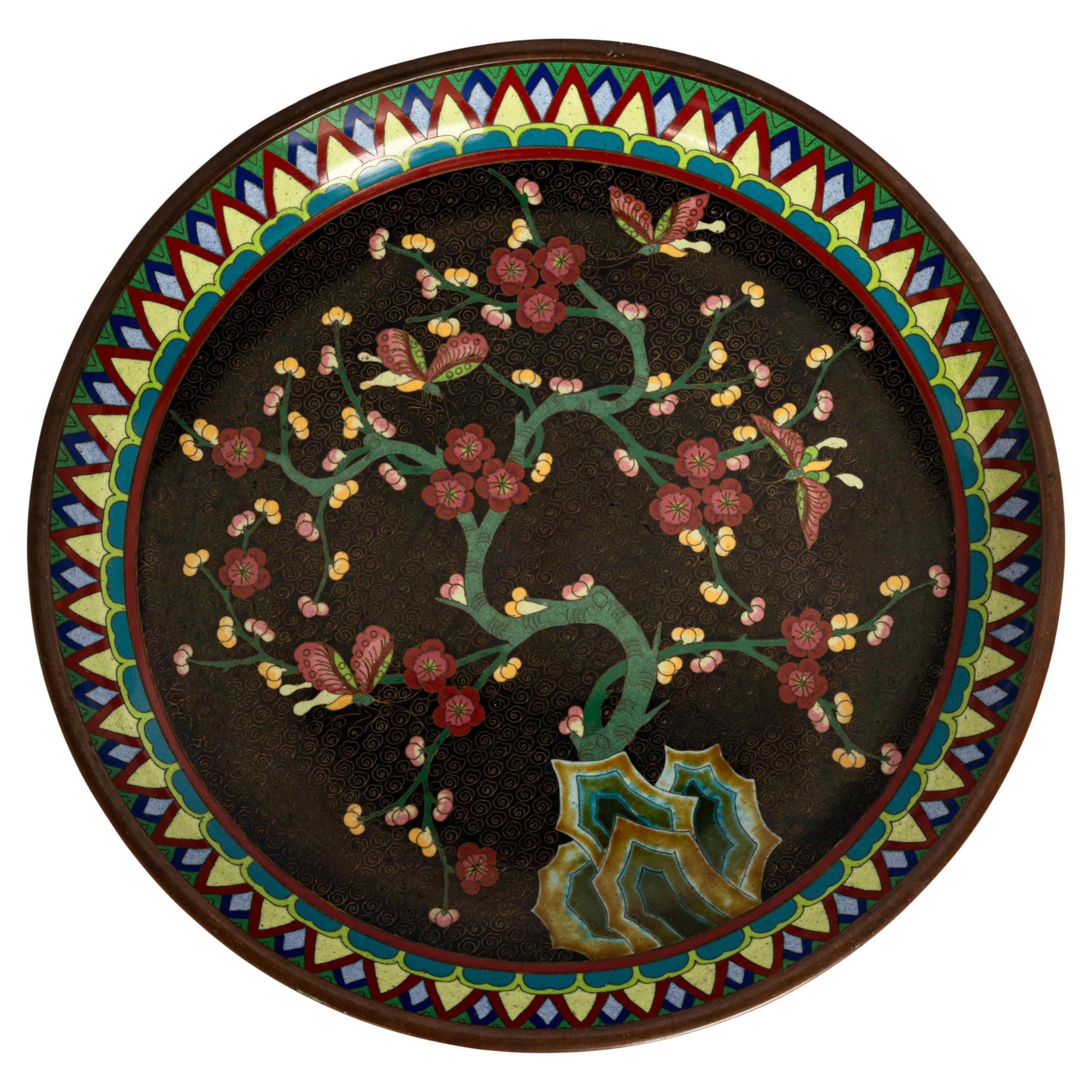 Fino cuenco chino antiguo de cloisonné de la dinastía Qing (1644-1911), hacia 1880.
El cuenco está finamente decorado con cloisons dorados en espiral sobre fondo de esmalte negro; en el centro hay un hermoso prunus en flor, rodeado de polillas o