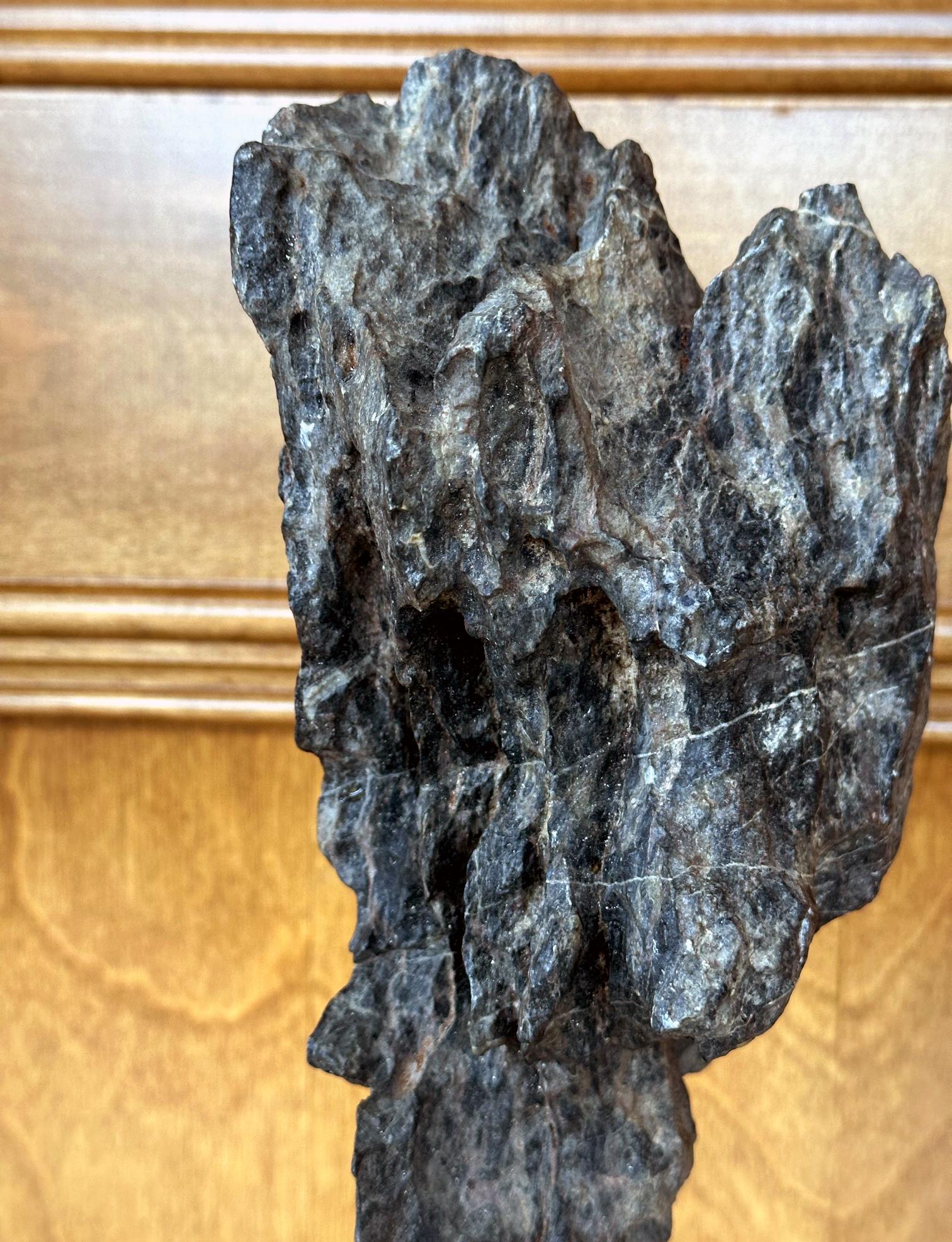 Antike chinesische Gelehrte Rock Yingde Stein auf Display Stand im Angebot 5